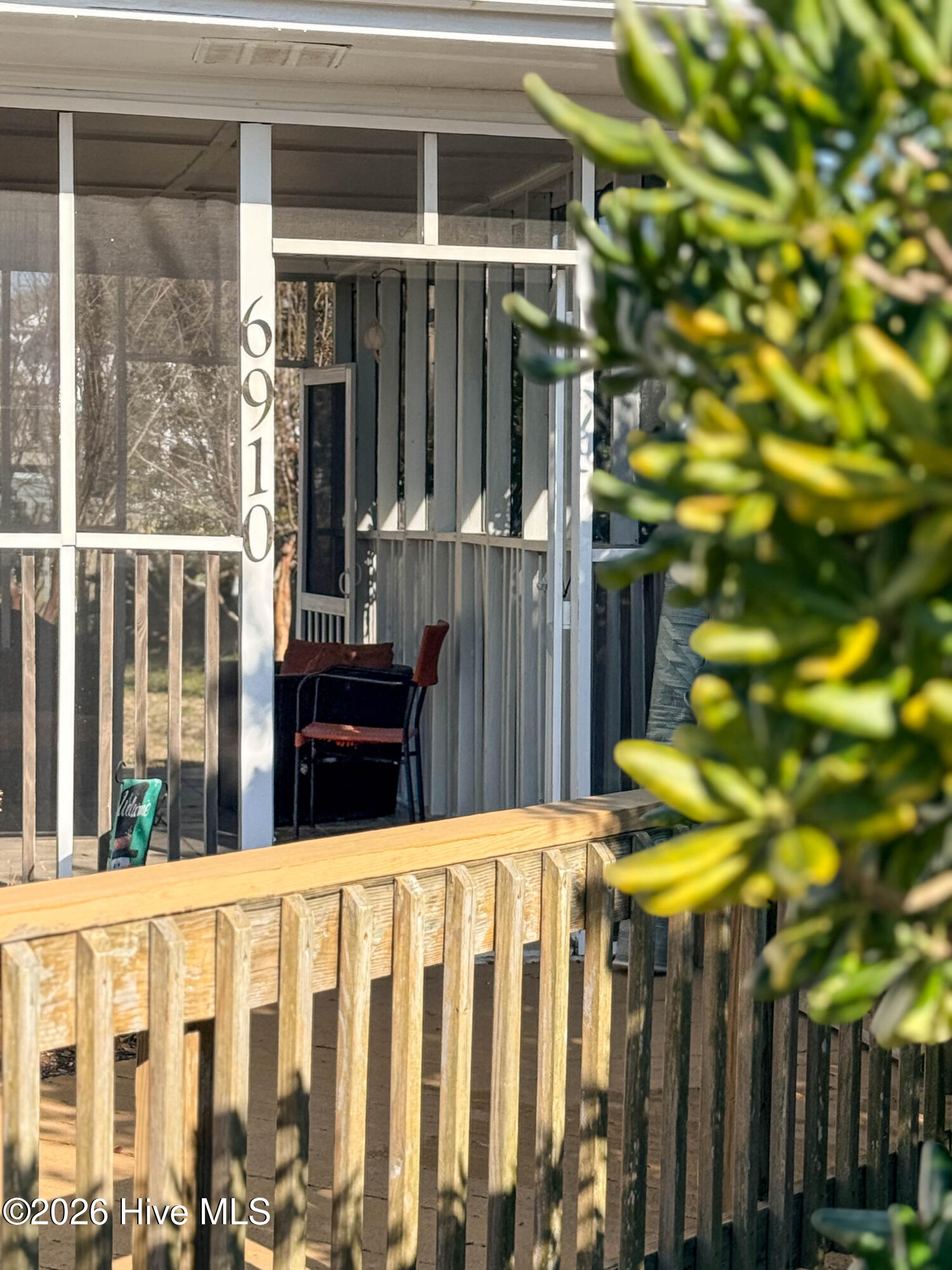 100556451 | Photo 38