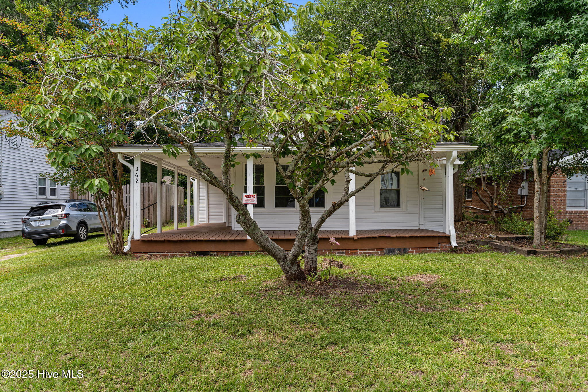 100556871 | Photo 42