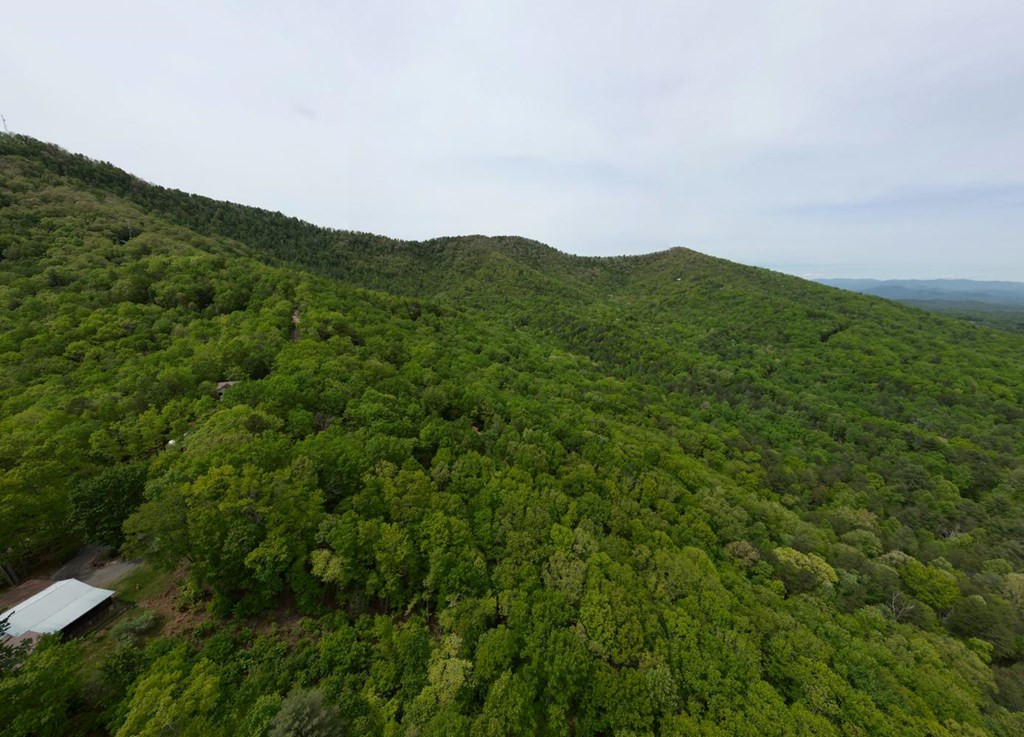 529 Talulu Pass, Murphy, NC 28906 Listing Photo  58