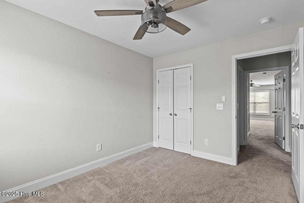 100552044 | Photo 17