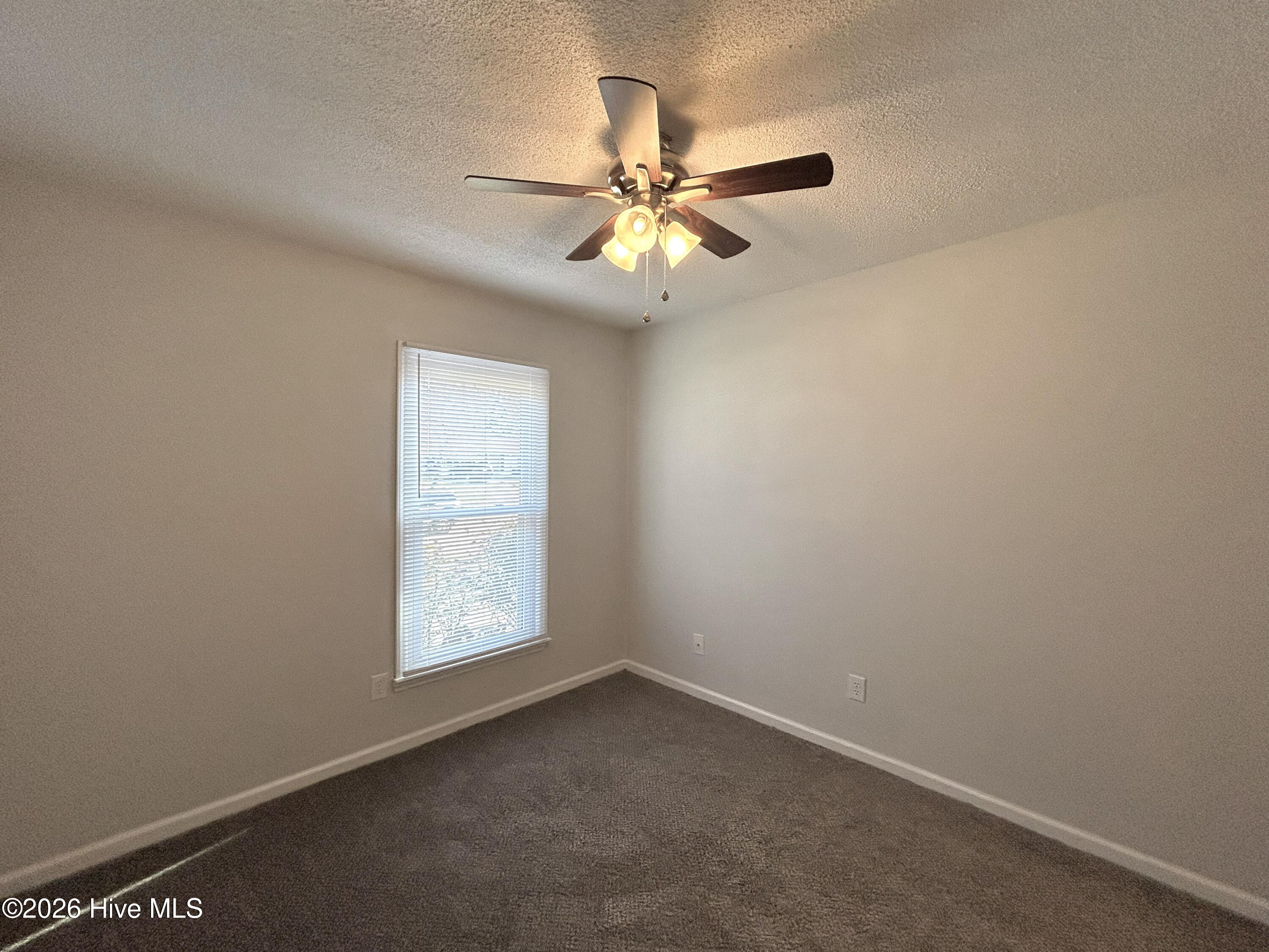 100563583 | Photo 22