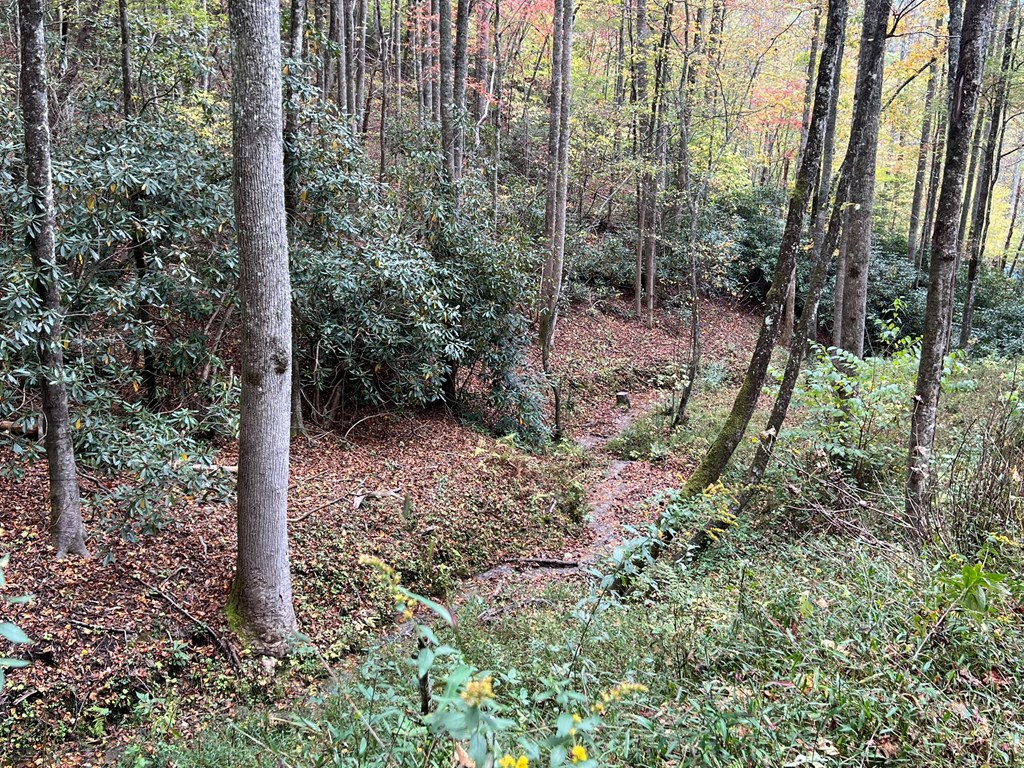 Homes for sale in Nantahala, NC | Lot 17 Black Bear Trl, Nantahala, NC 28781 | MLS# 98524271
