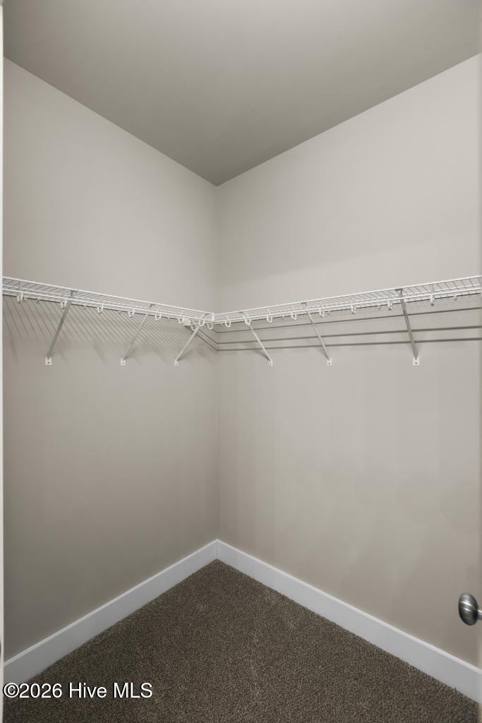 100552933 | Photo 27