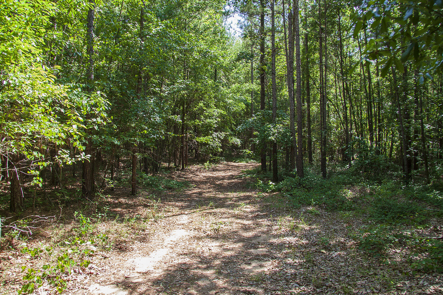 1515C HEPHZIBAH - MCBEAN Road, Hephzibah, GA, 30815