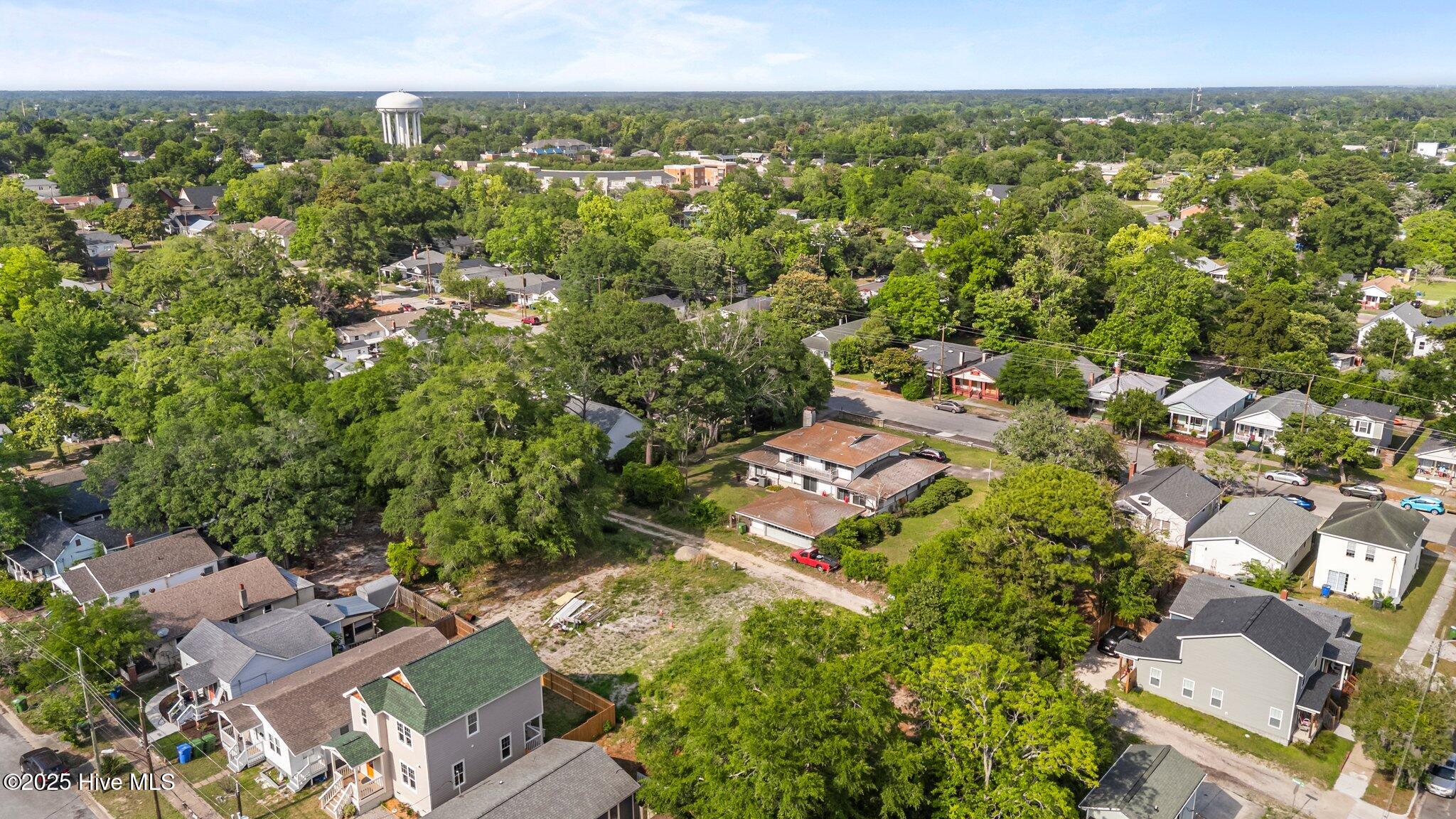 100509789 | Photo 10