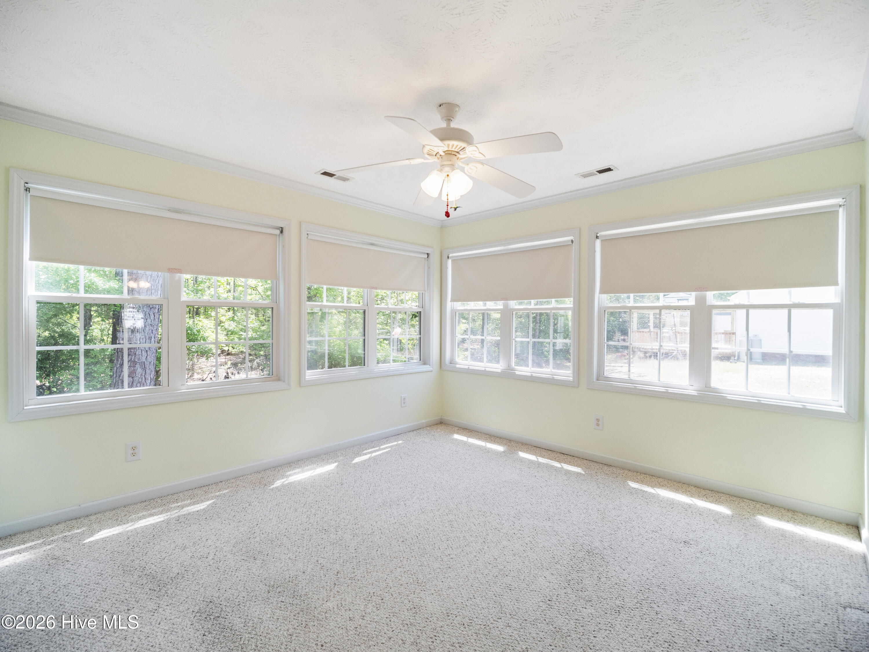 100570640 | Photo 16