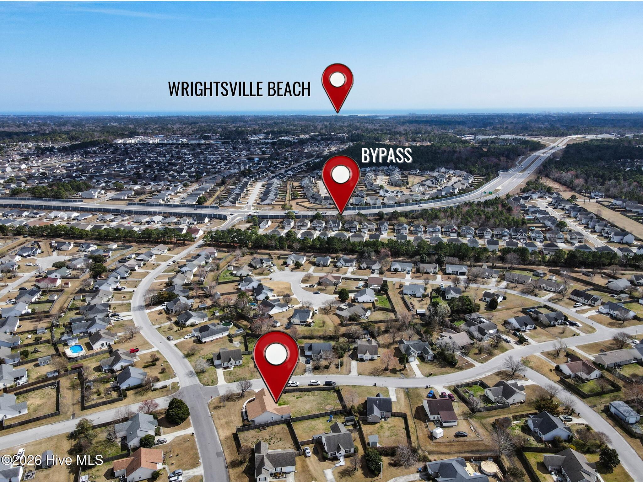 100558599 | Photo 20