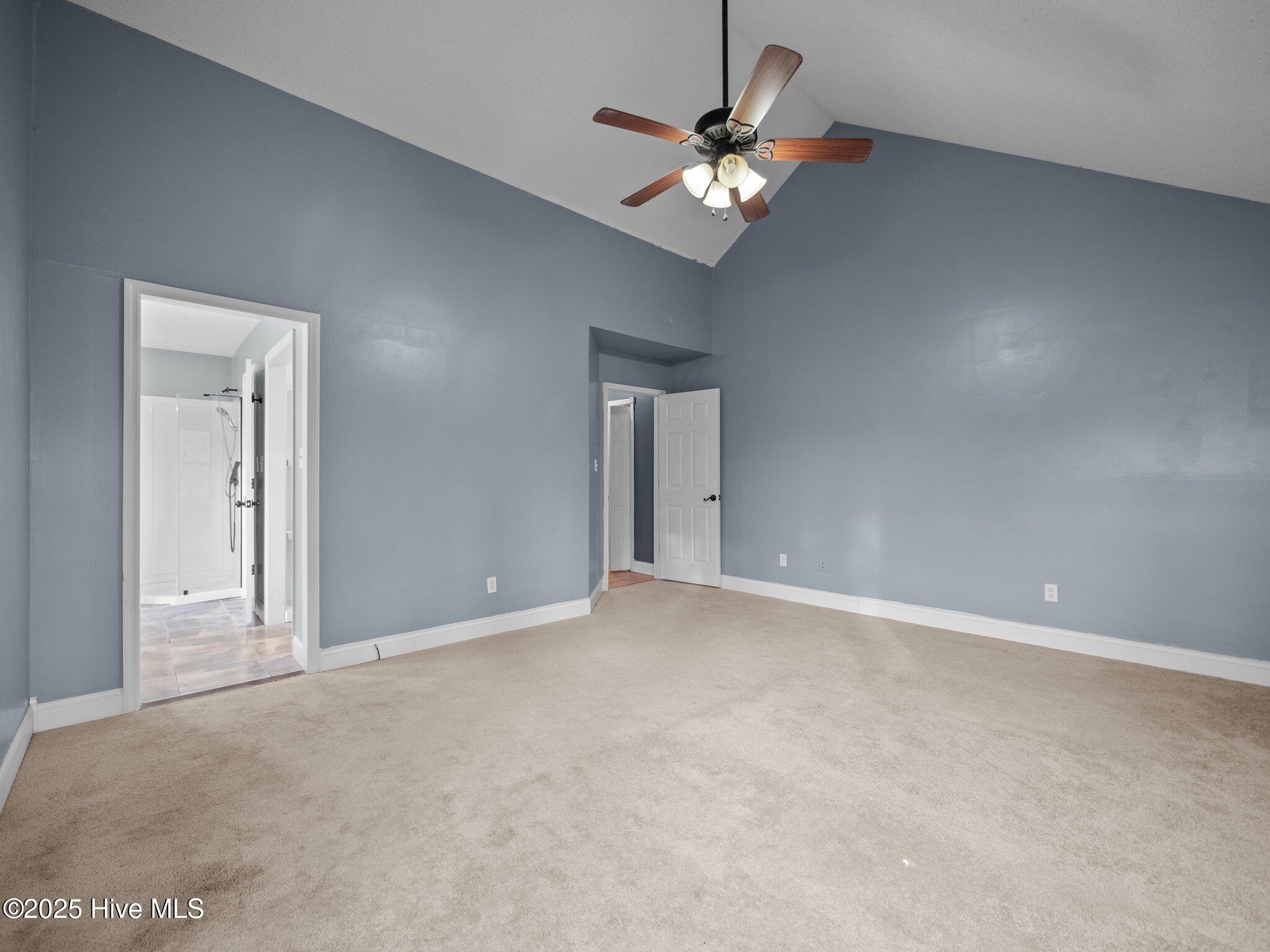 100559865 | Photo 14