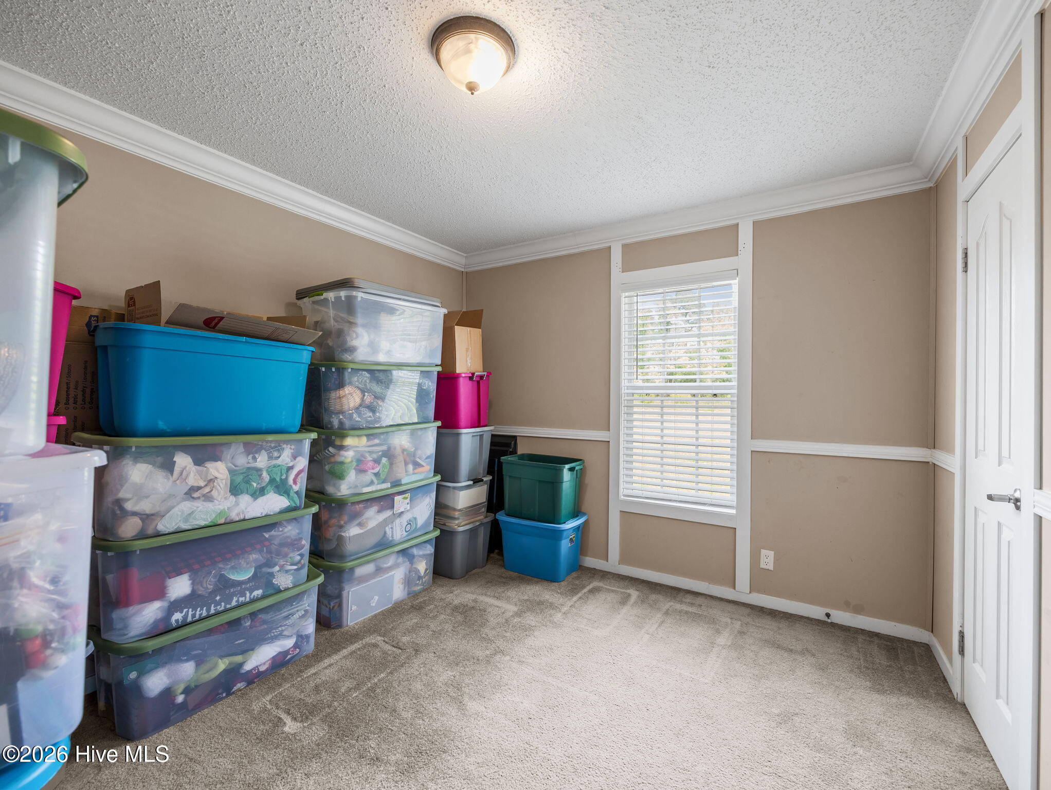 100566211 | Photo 24