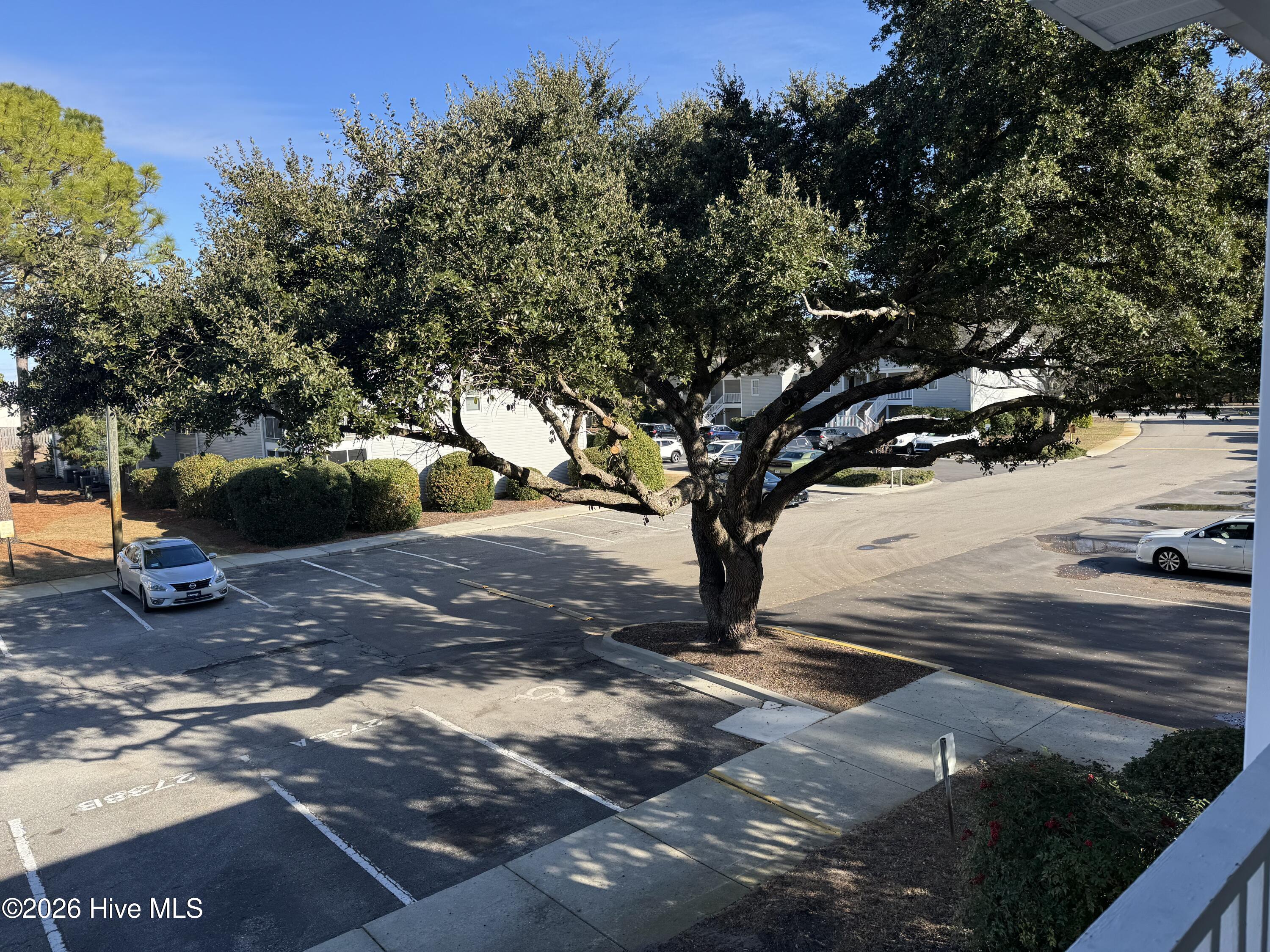 100547107 | Photo 32