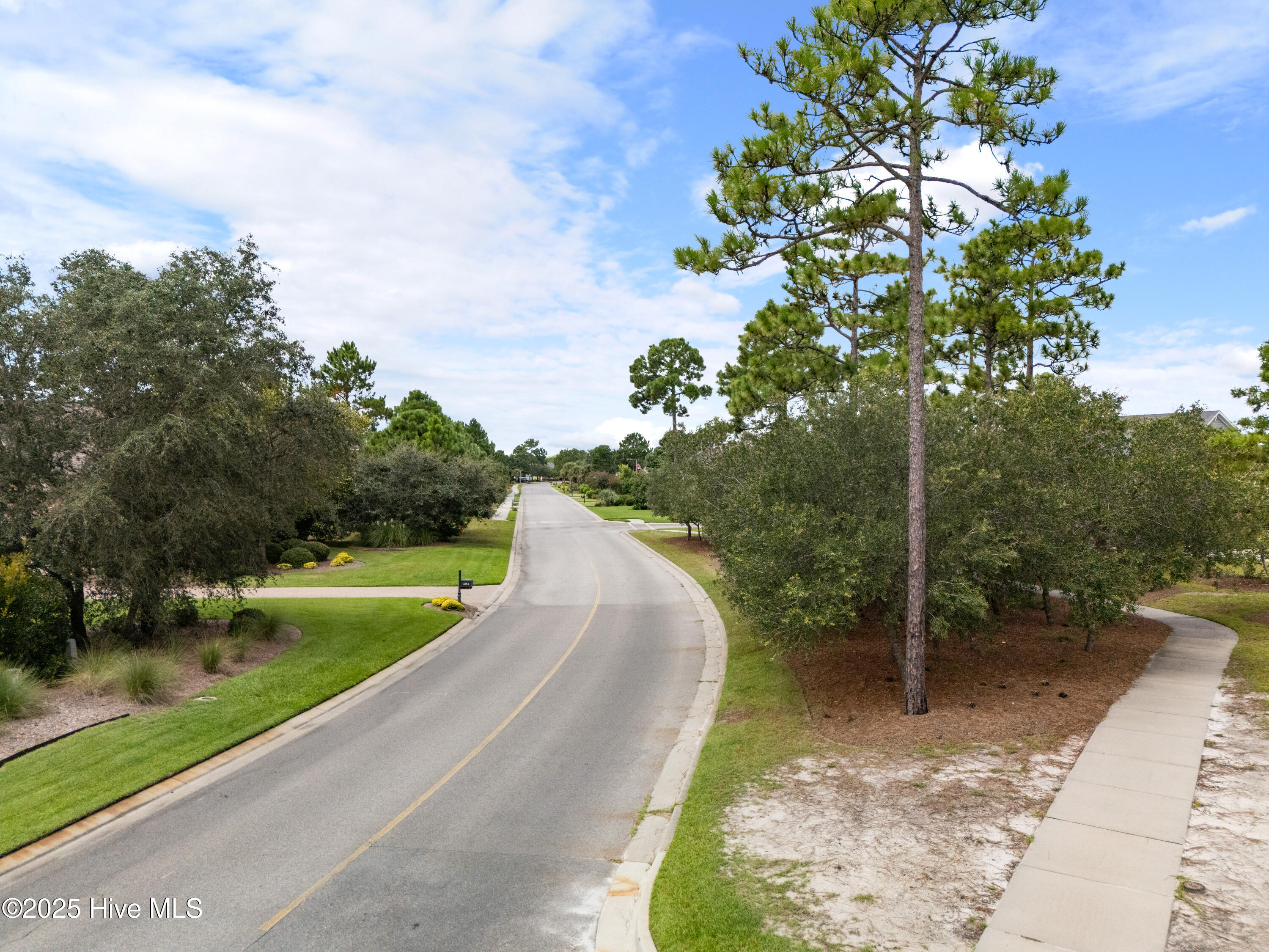 100569790 | Photo 32