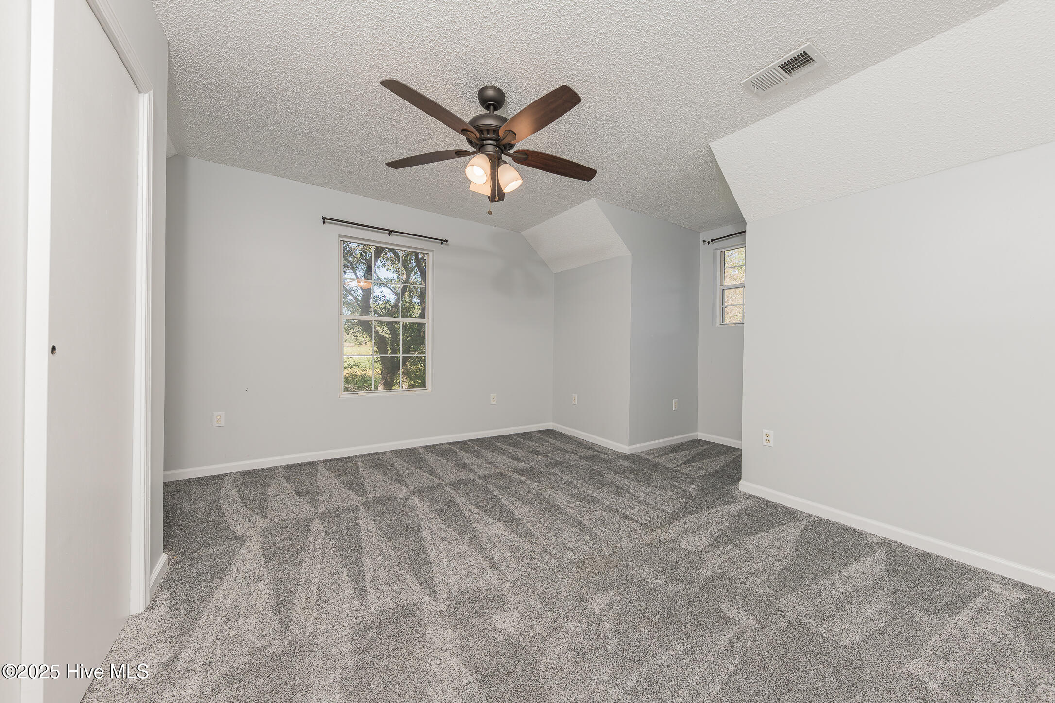 100537382 | Photo 19