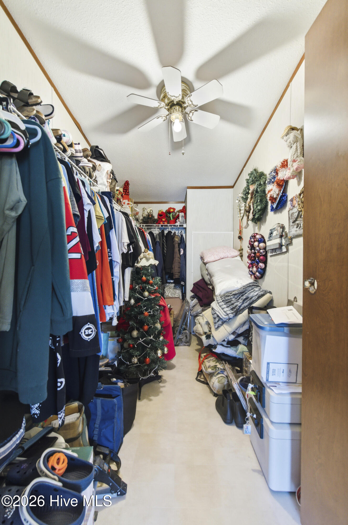 100565497 | Photo 45