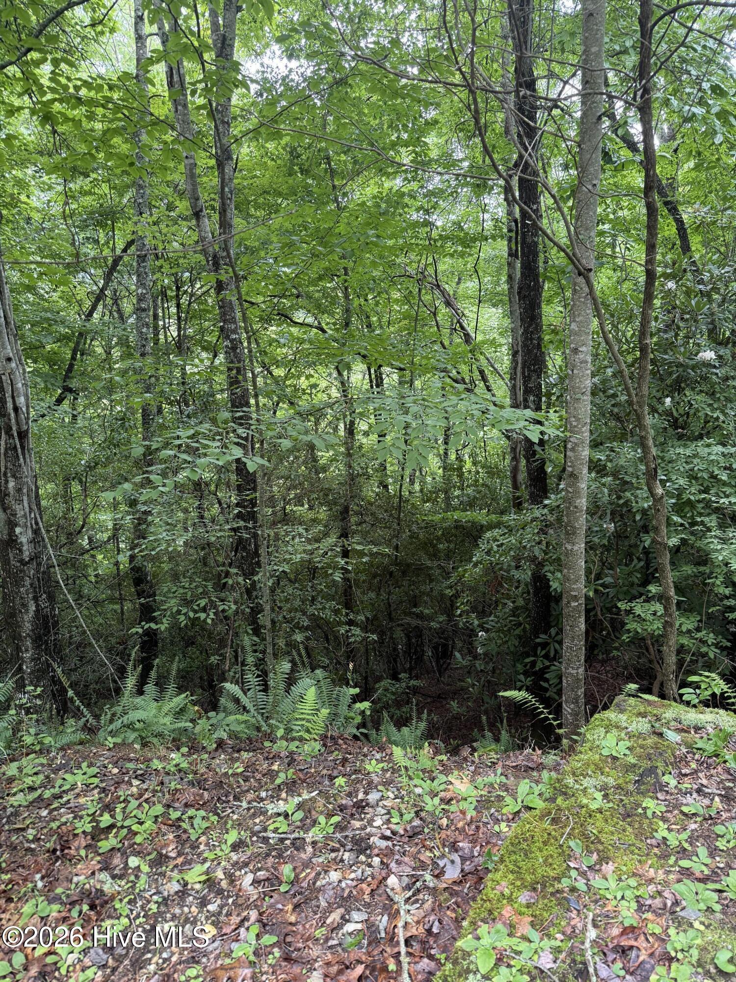 2nd image of Lot 4 Mountain Vista Ln, Topton, NC 28781 | MLS# 100593355