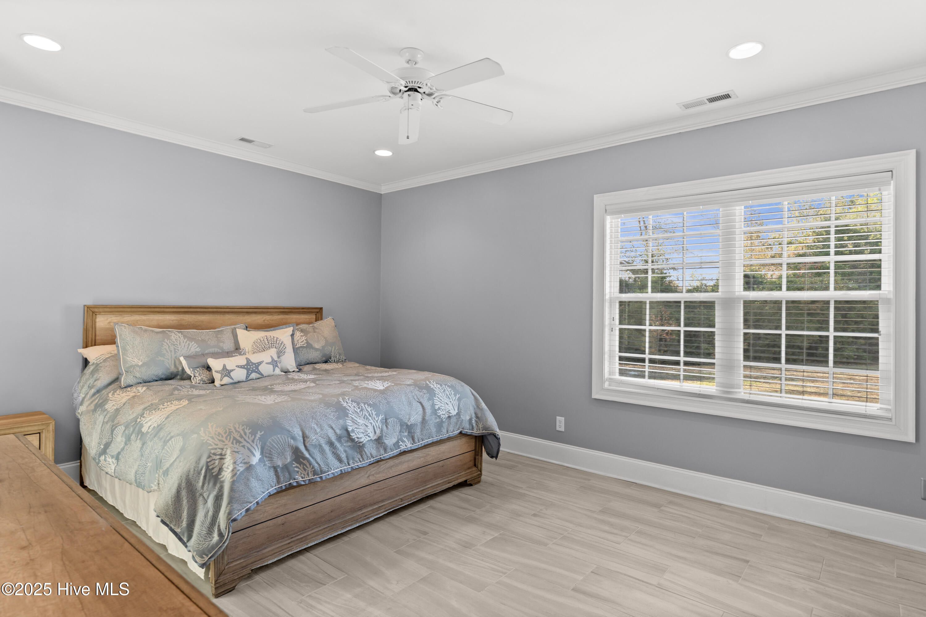 100538387 | Photo 23