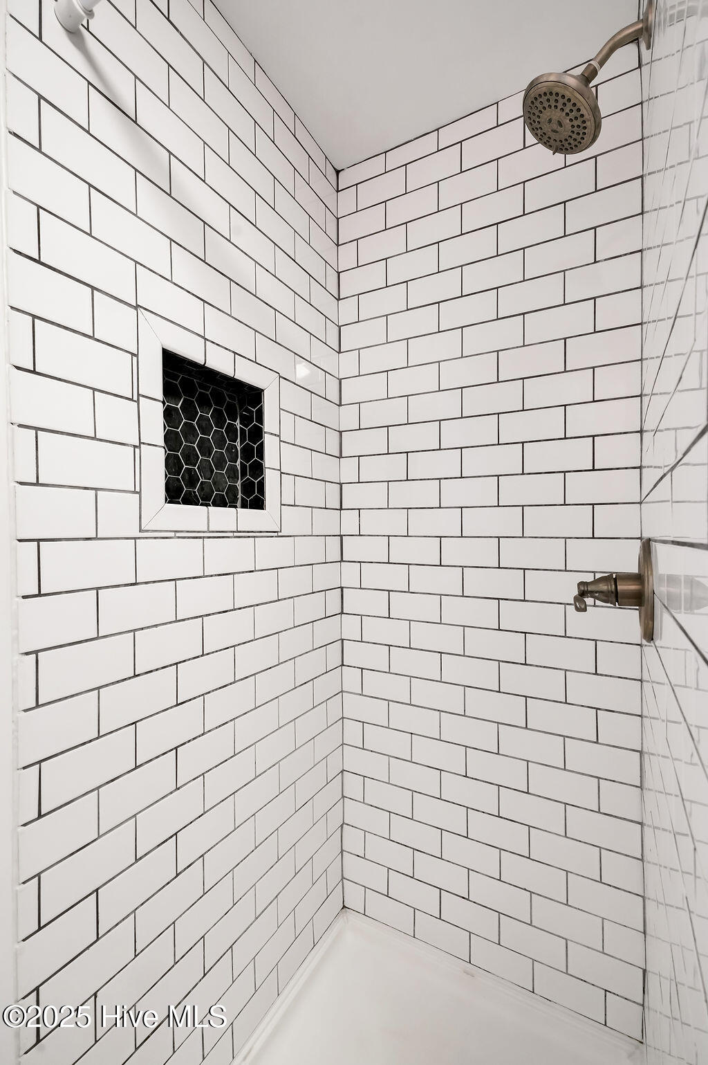 100538835 | Photo 29