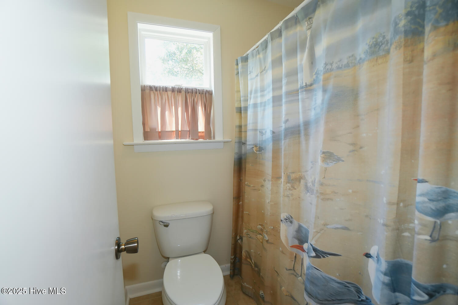 100528234 | Photo 16