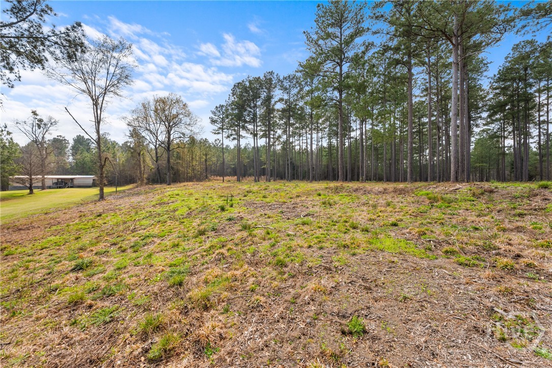 3127 Buttermilk, Sylvania, GA, 30467