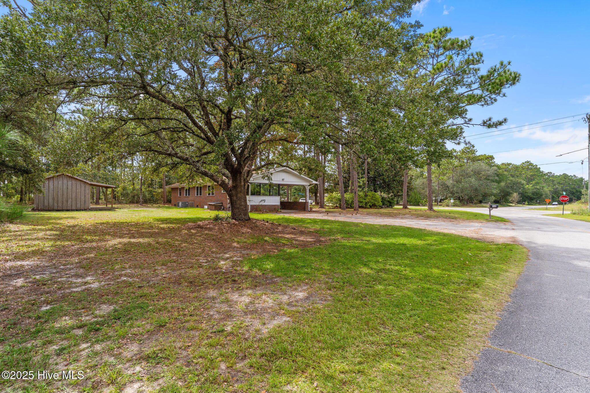 100529957 | Photo 44