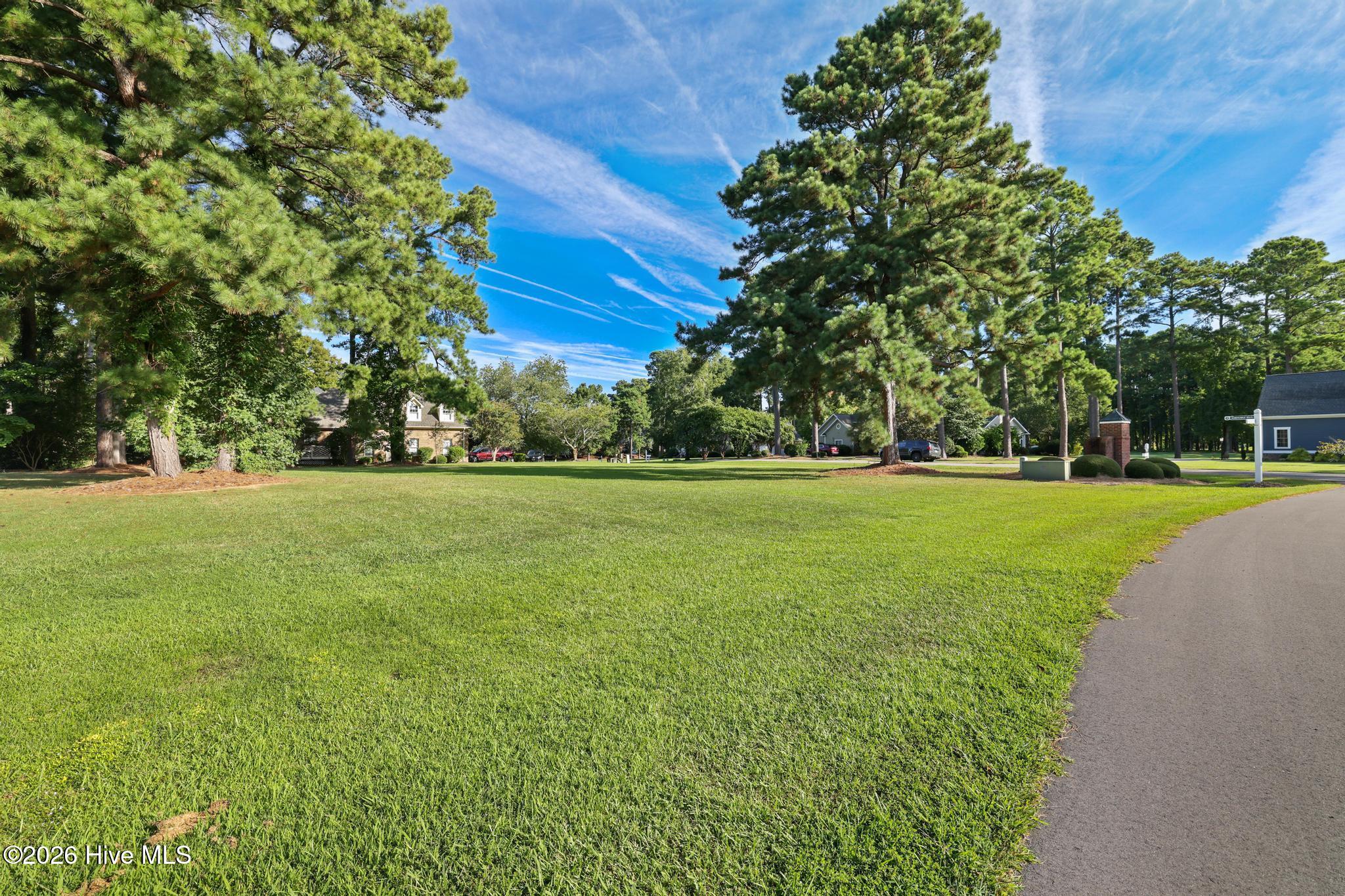 100603081 | Photo 2