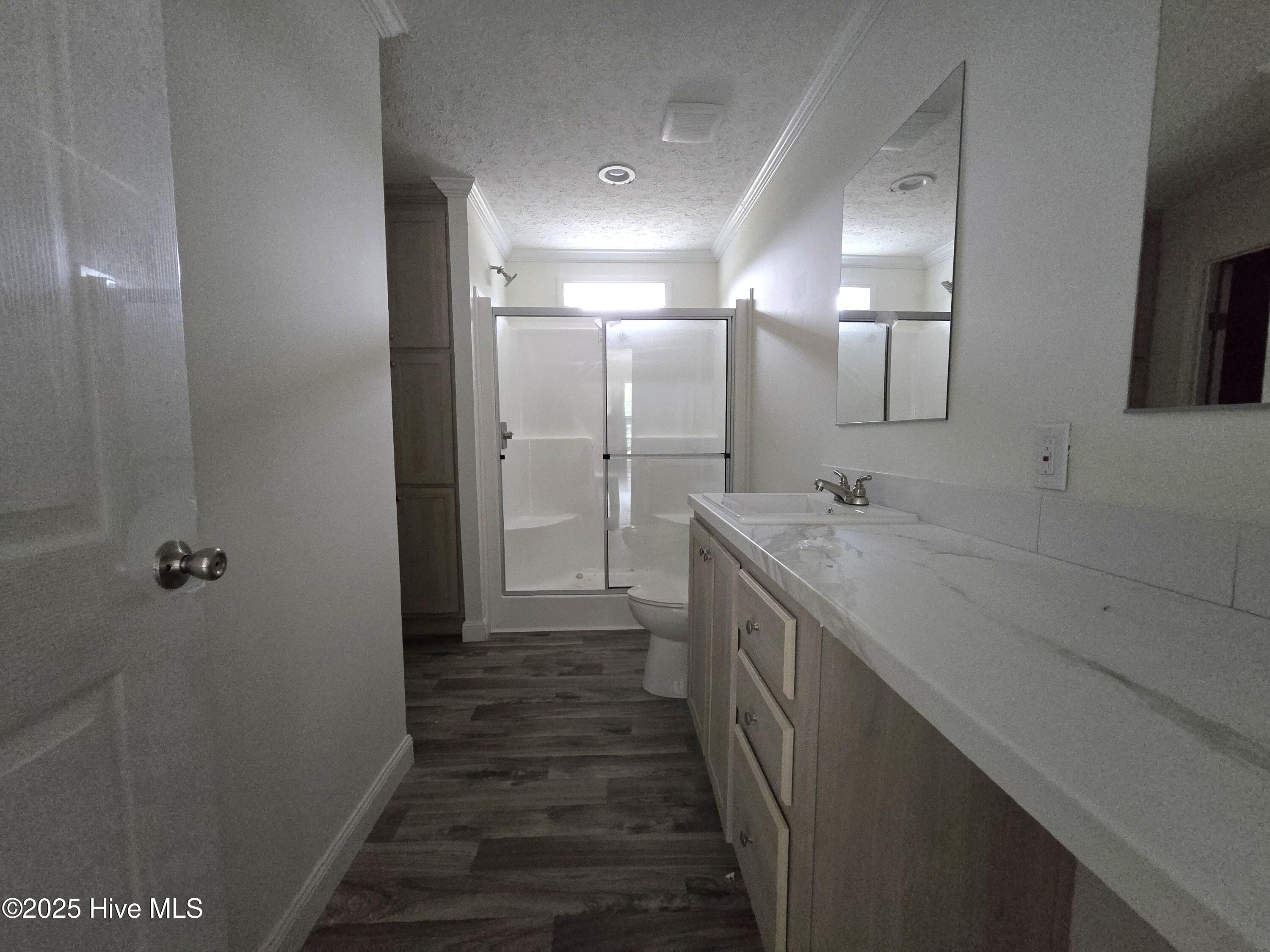405 S Alligator Lane, Willard, NC 28478 – photo 17: Master Bath 3