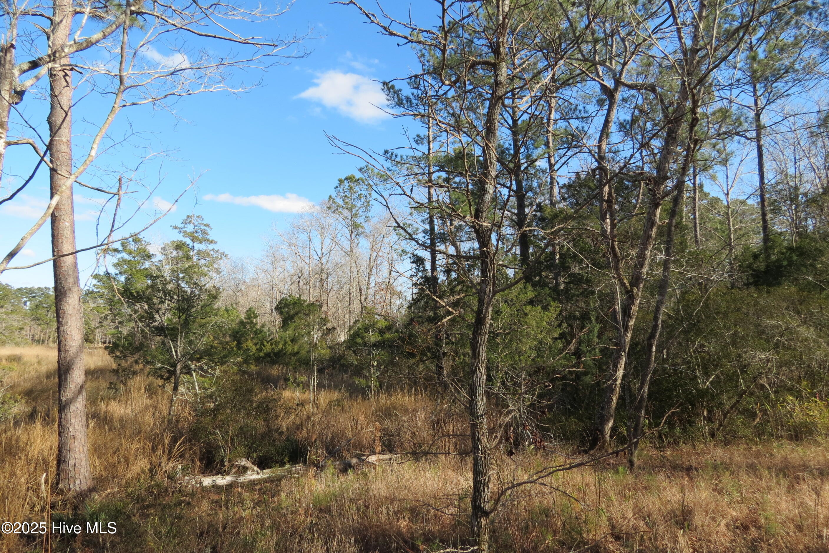 109 Winding Creek Drive, Oriental, NC, 28571