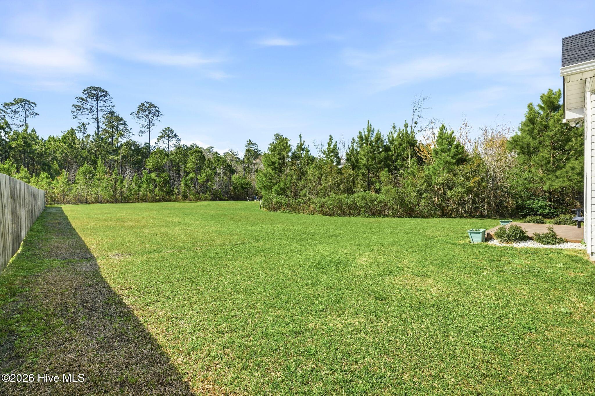 100563818 | Photo 49