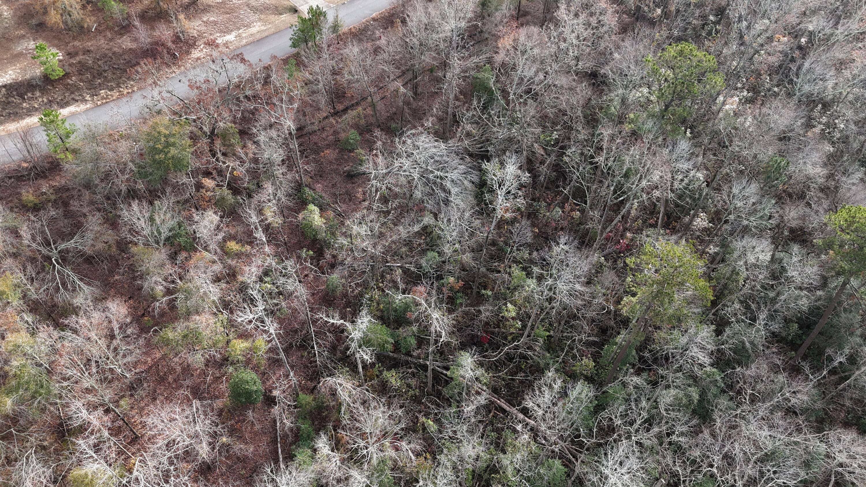 2664 NEW HOPE Circle, Hephzibah, GA, 30815