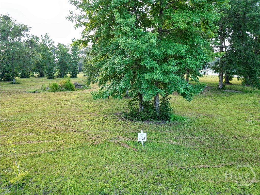 0 Tranquility Place, Townsend, Georgia, 0 ,Land,For sale,Tranquility Place,SA361216 0 Tranquility Place, Townsend, Georgia, 0 ,Land,For sale,Tranquility Place,SA361216