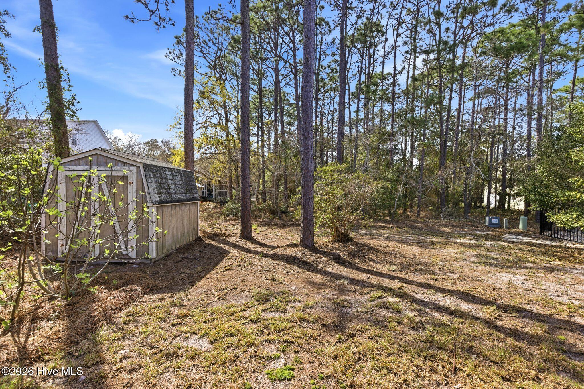 100564018 | Photo 48