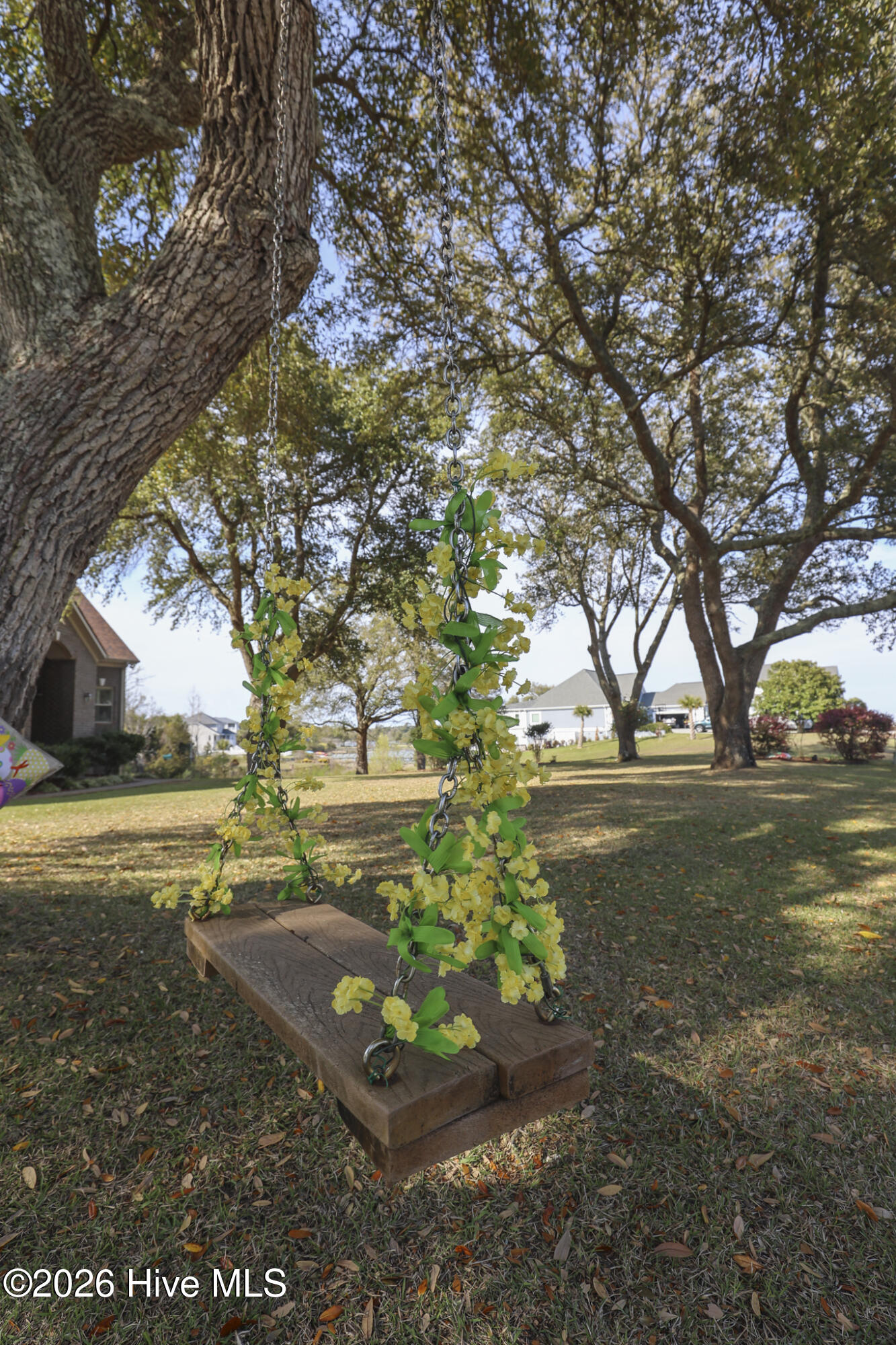 100564942 | Photo 60