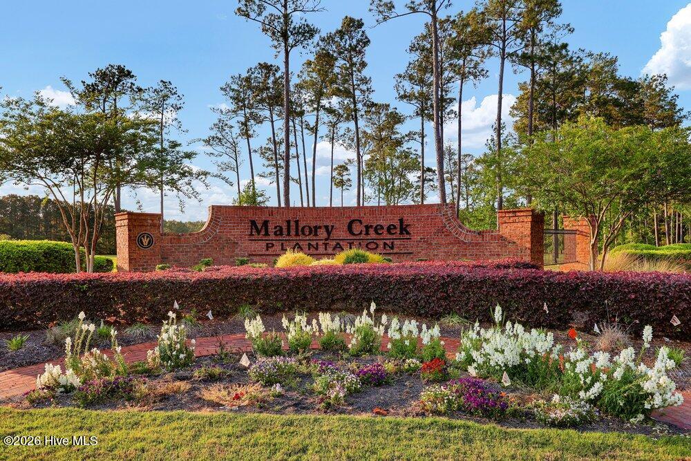 100568146 | Photo 28