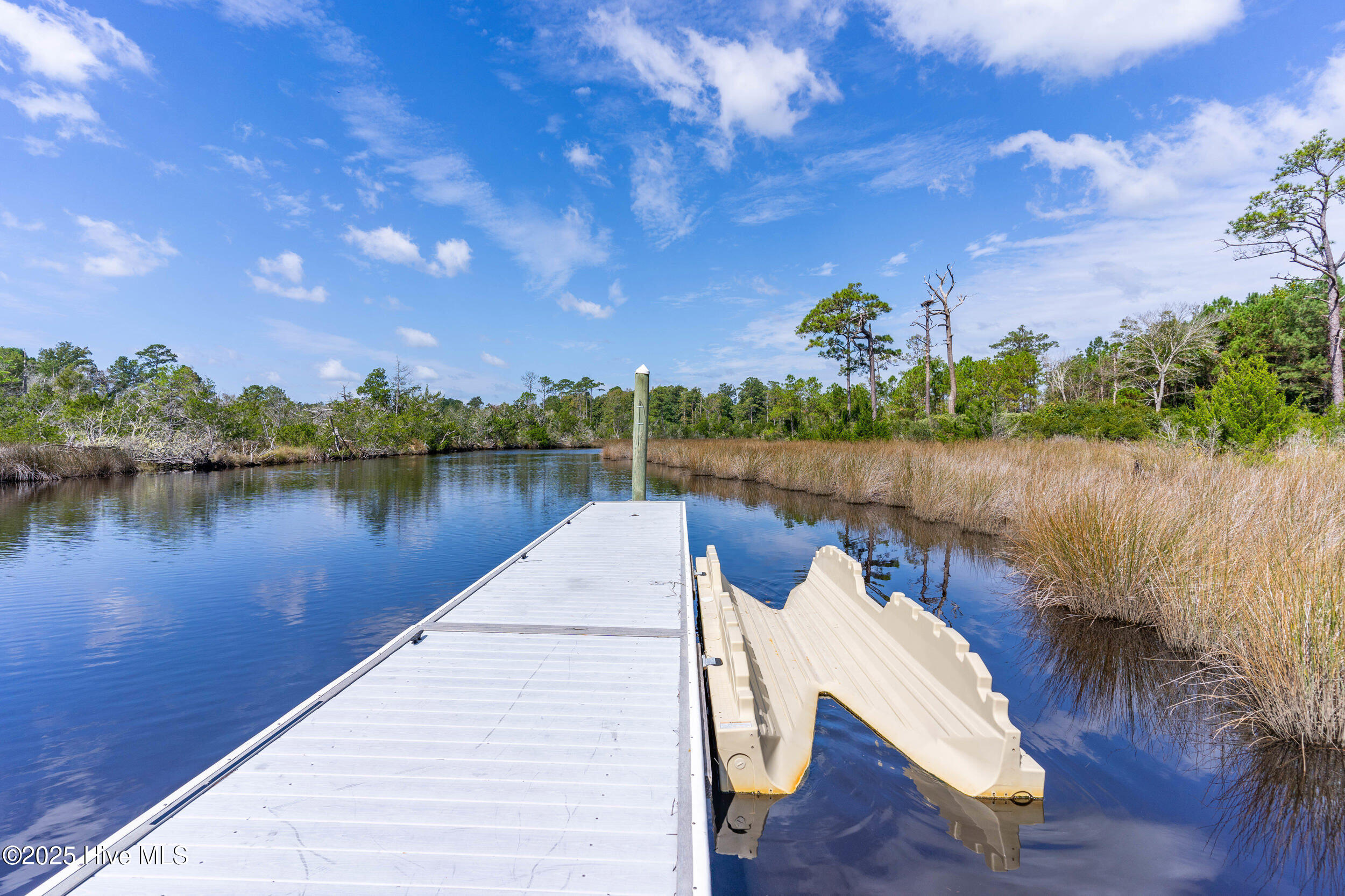 100535117 | Photo 96