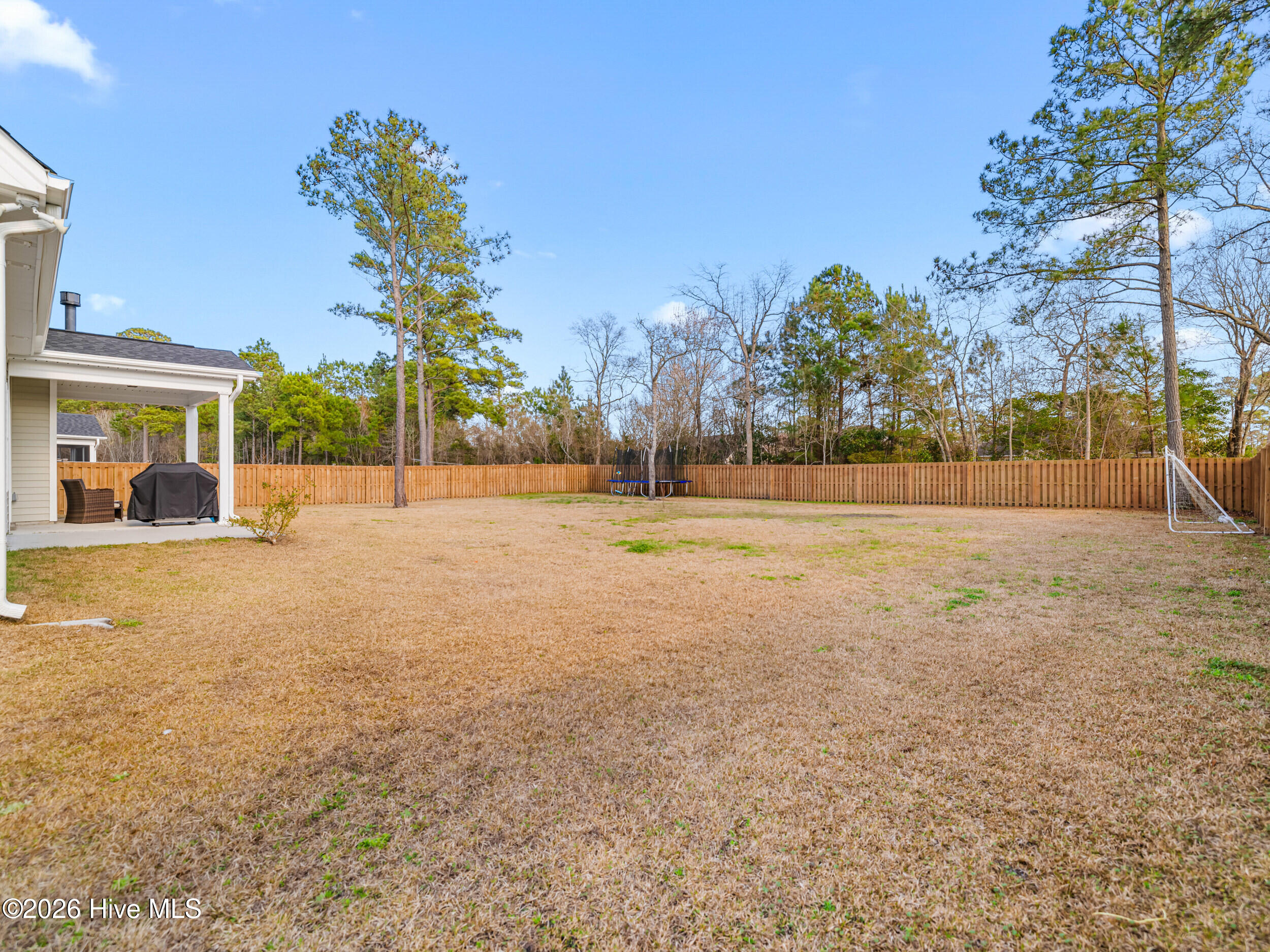 100559684 | Photo 50