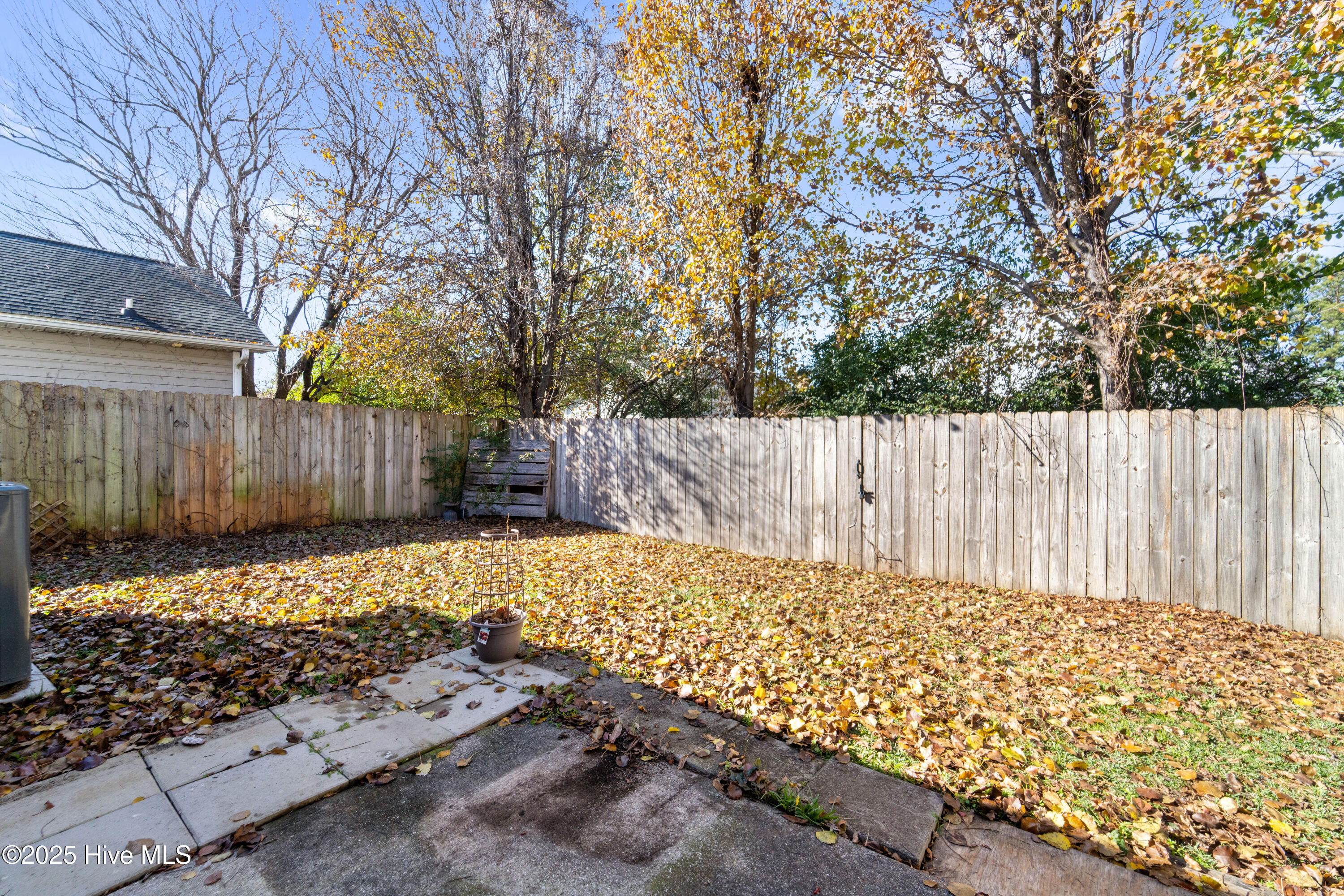 100546102 | Photo 40