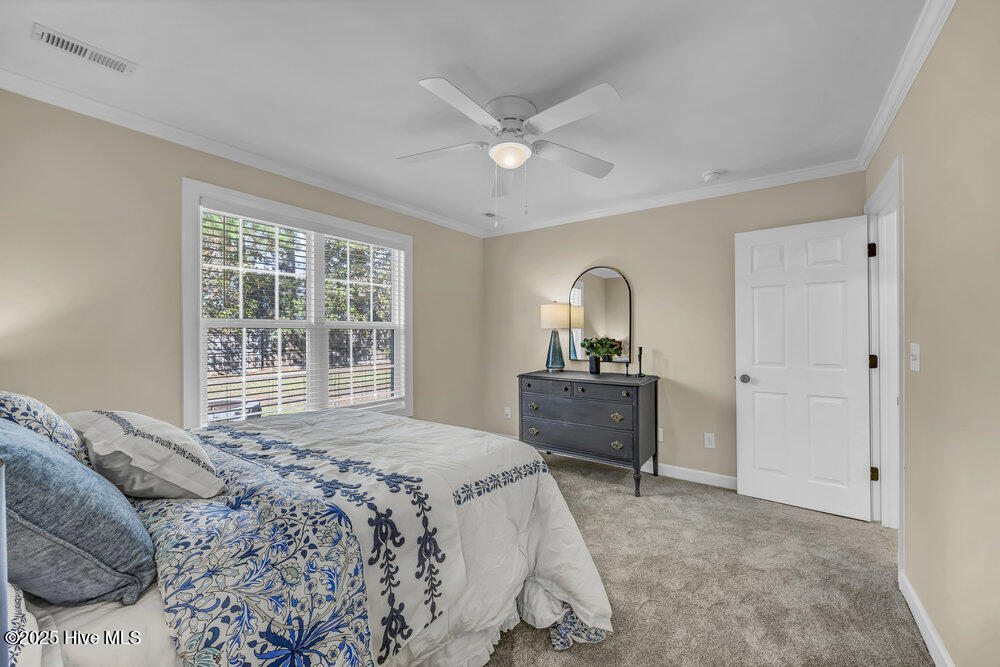 100543937 | Photo 13