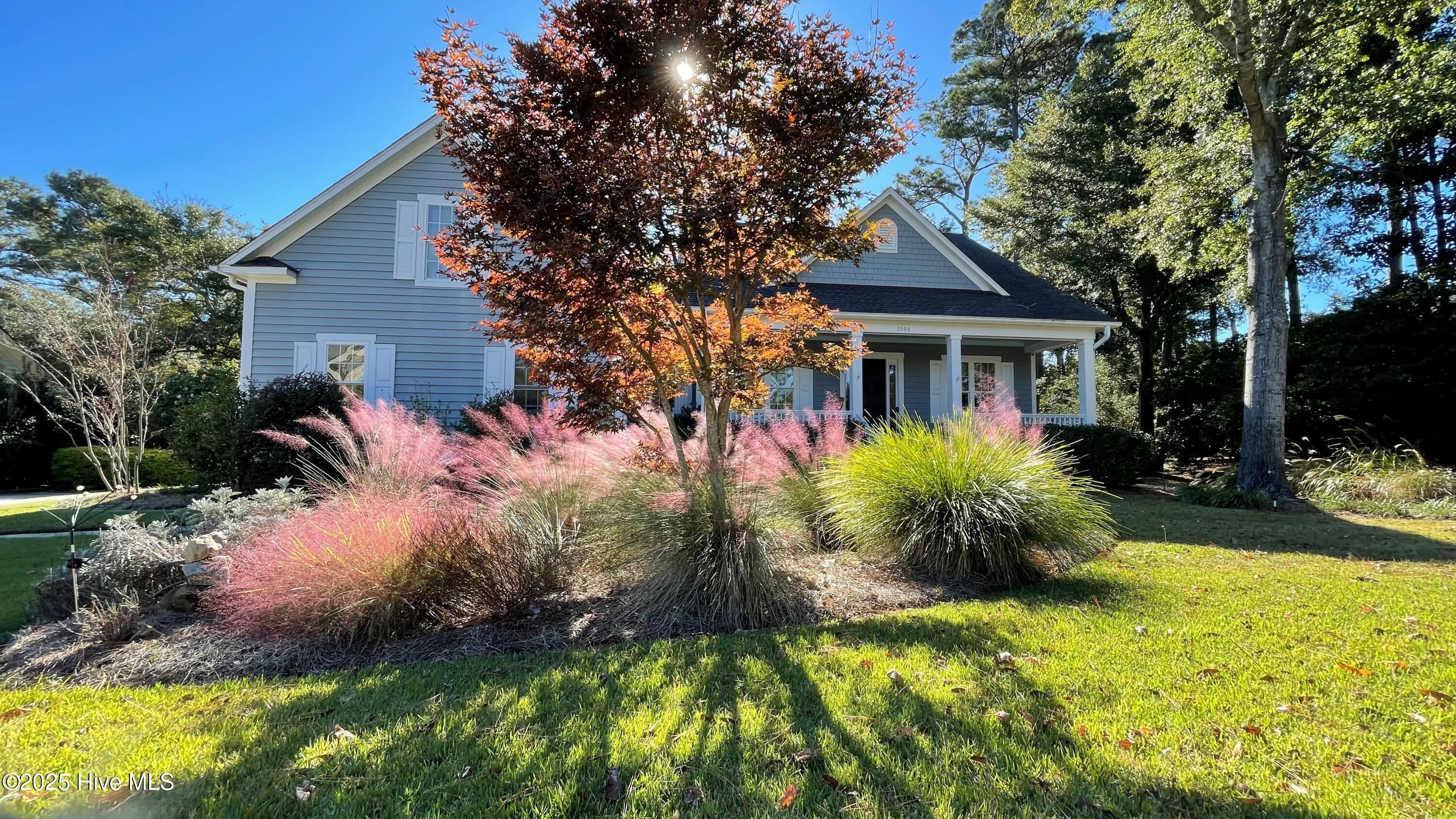 100536027 | Photo 29