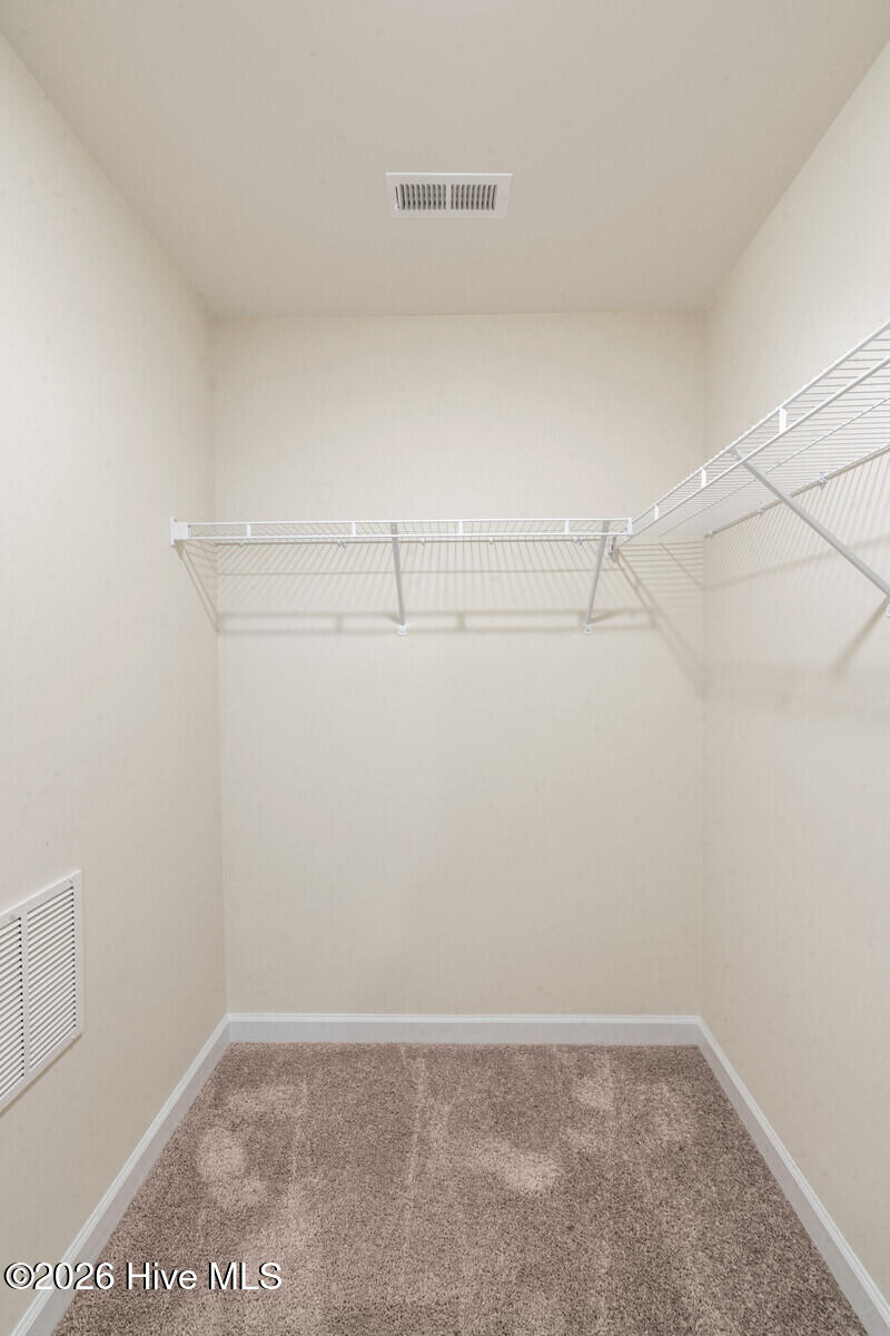 100562999 | Photo 21