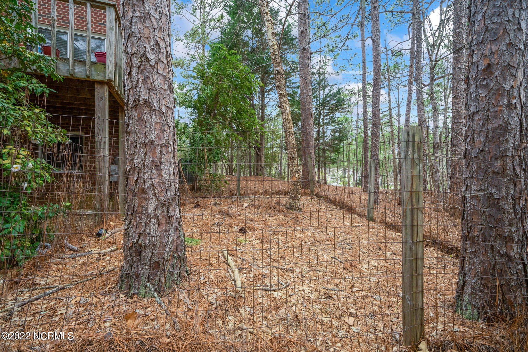 300 Clearfield Lane