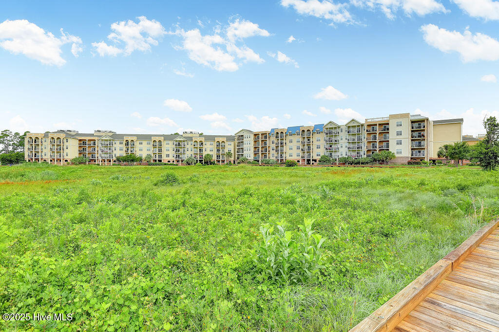 100497917 | Photo 41