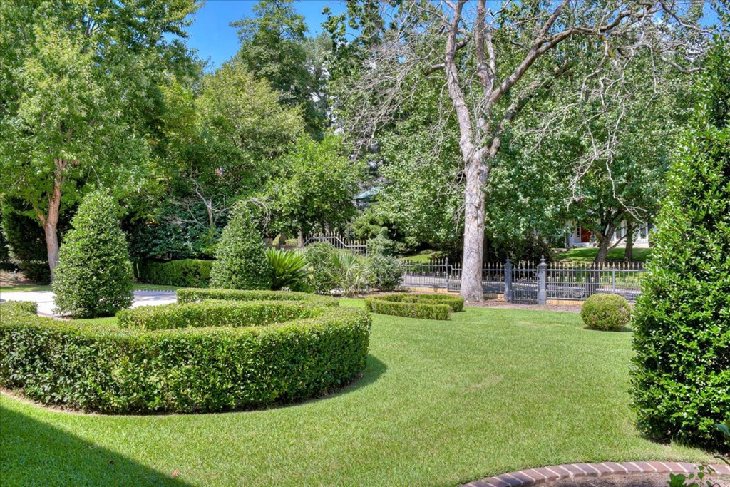 Beautiful Landscaped yard