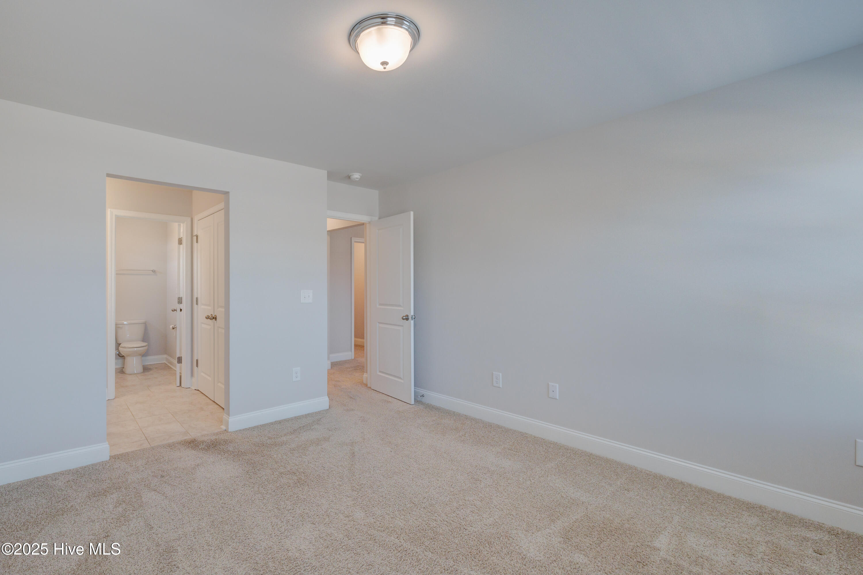 100491210 | Photo 31