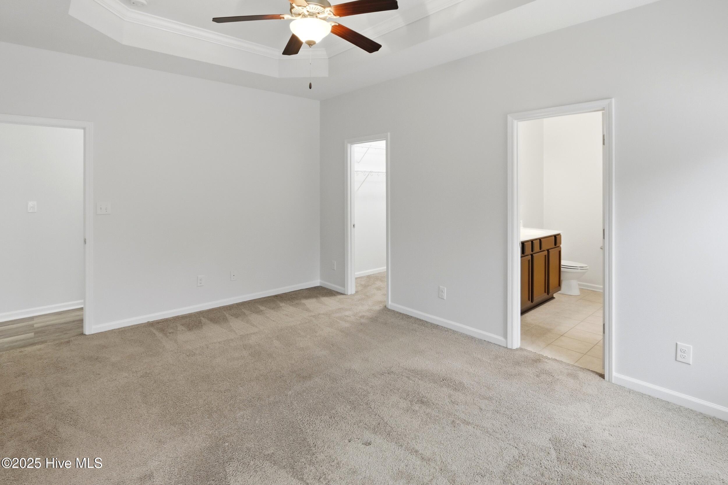 100545601 | Photo 35