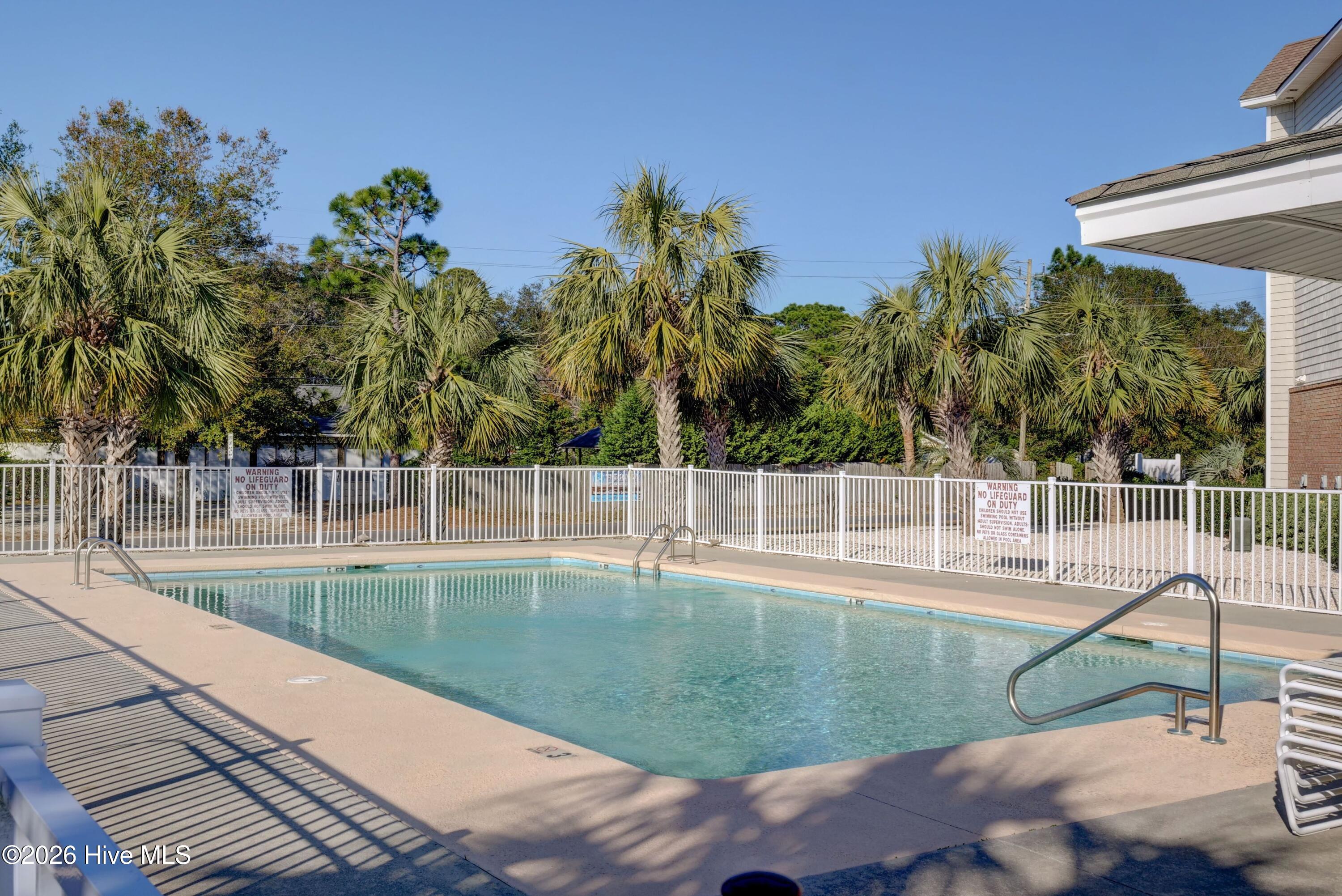 100554919 | Photo 31