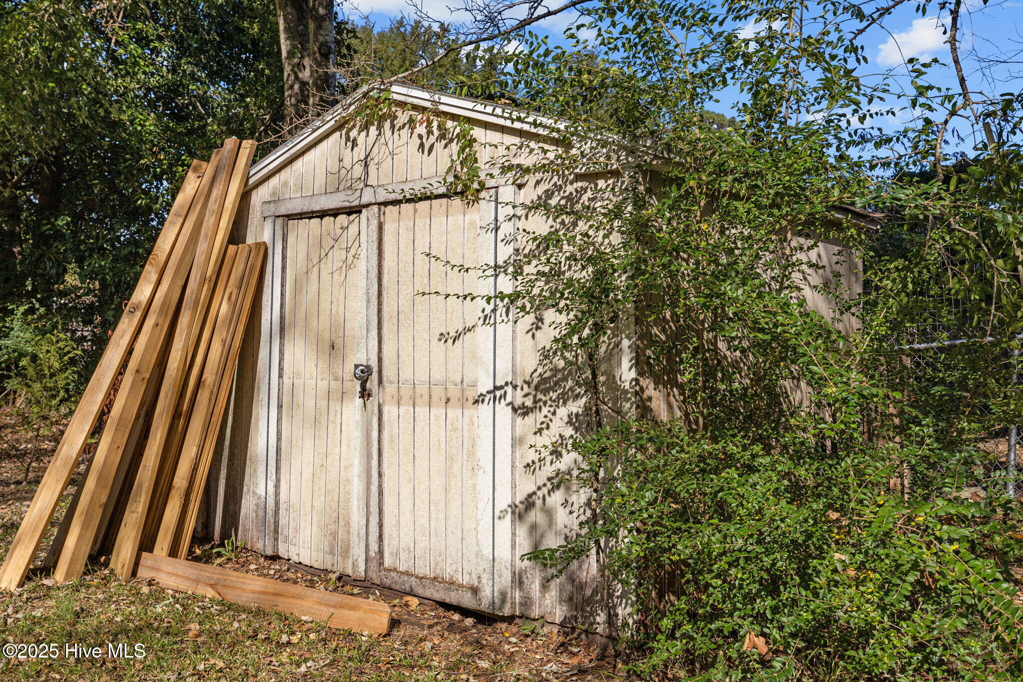 100539019 | Photo 35