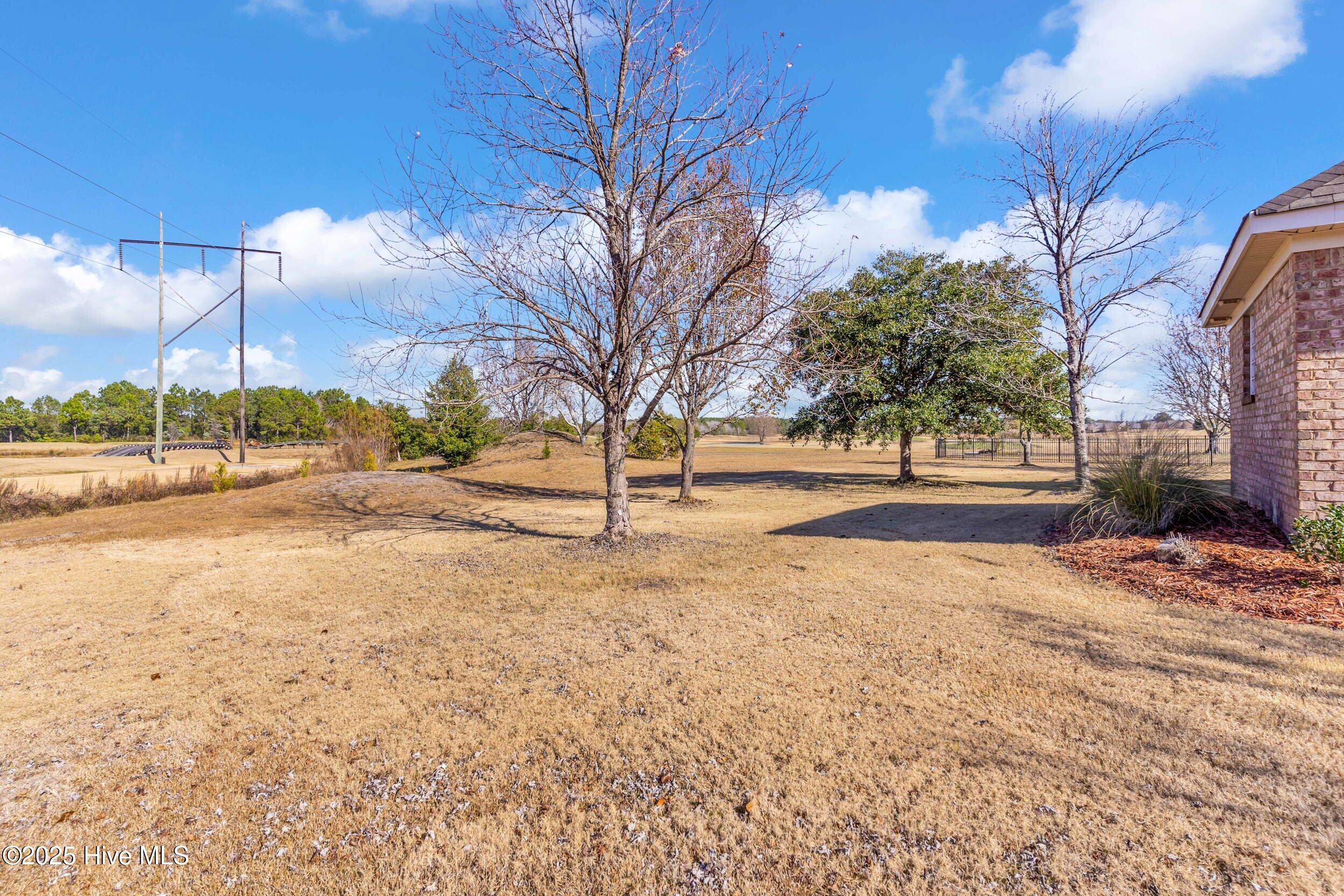 100543526 | Photo 37