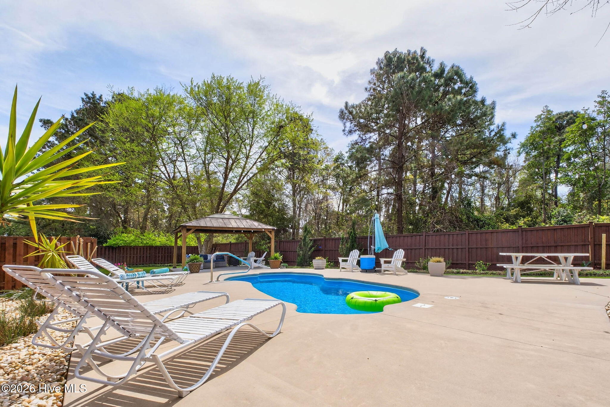 100562589 | Photo 59