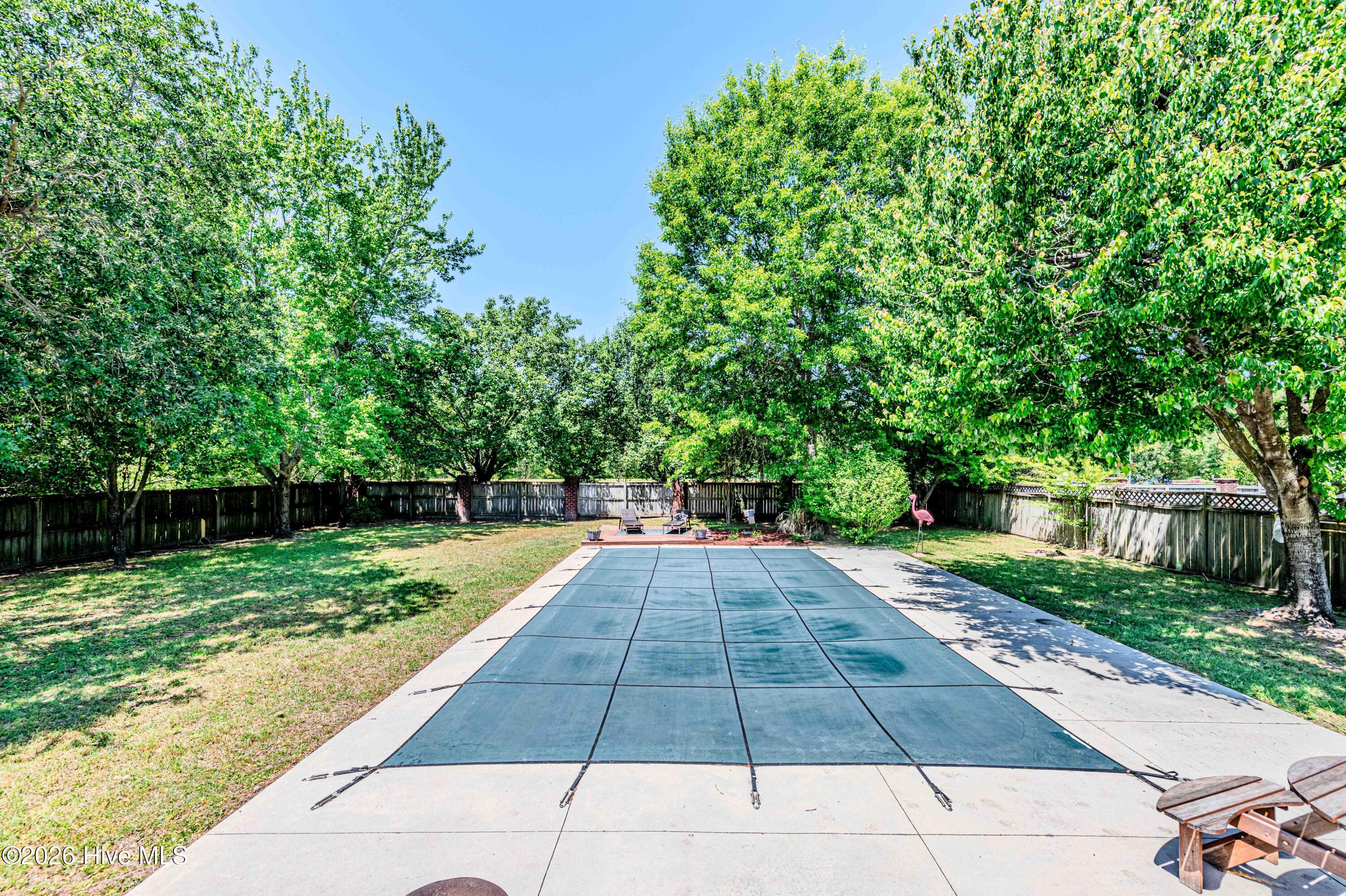 100569182 | Photo 53