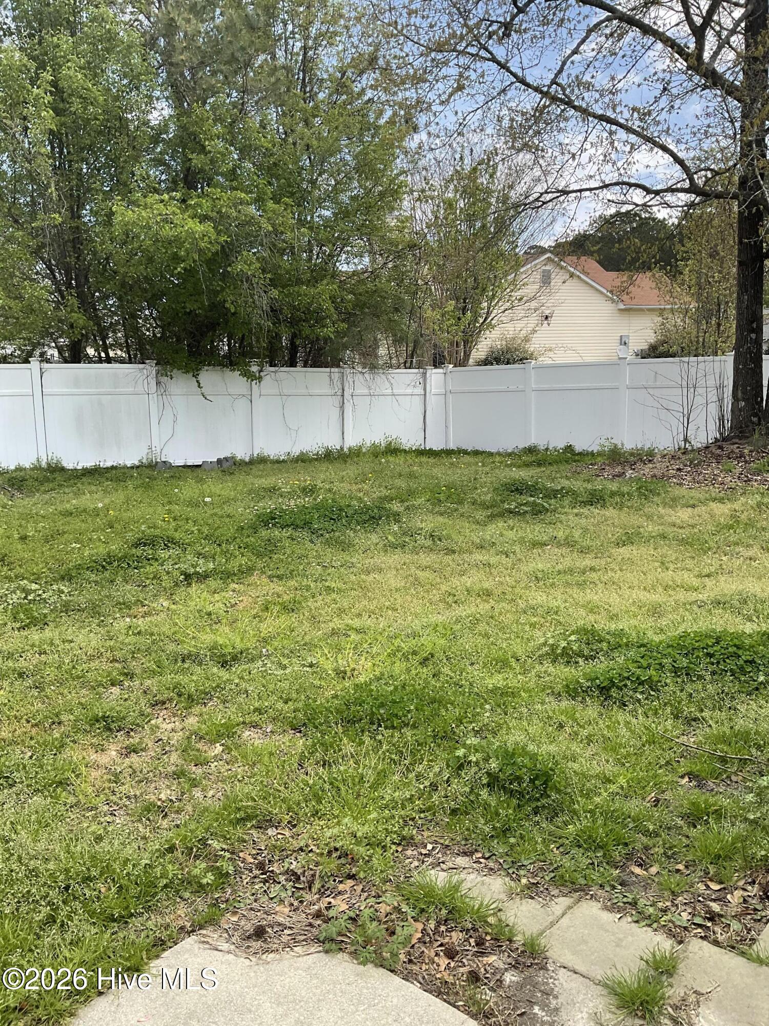 100563280 | Photo 18