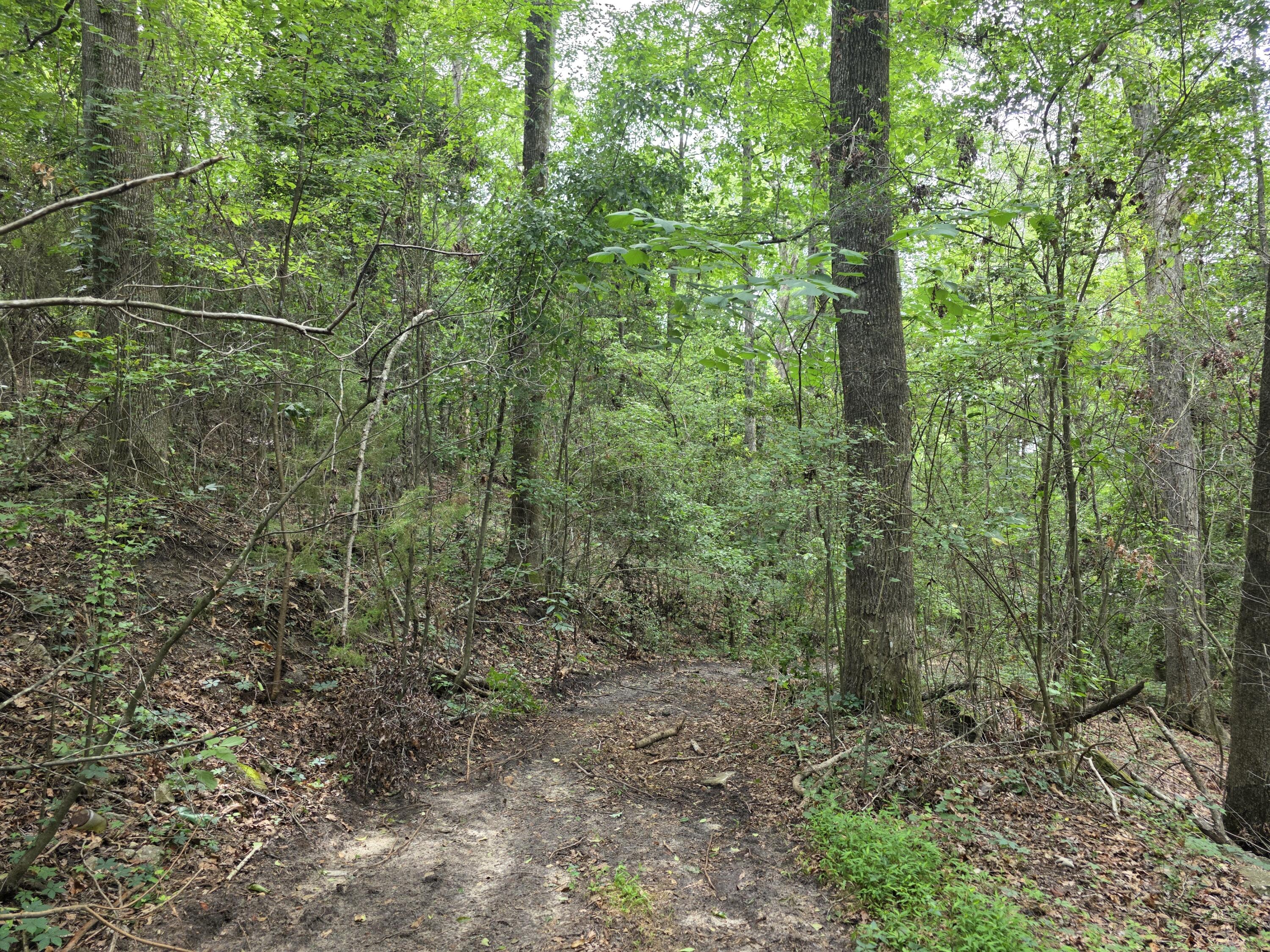 2039 Mcdade Farm Road, Hephzibah, GA, 30815